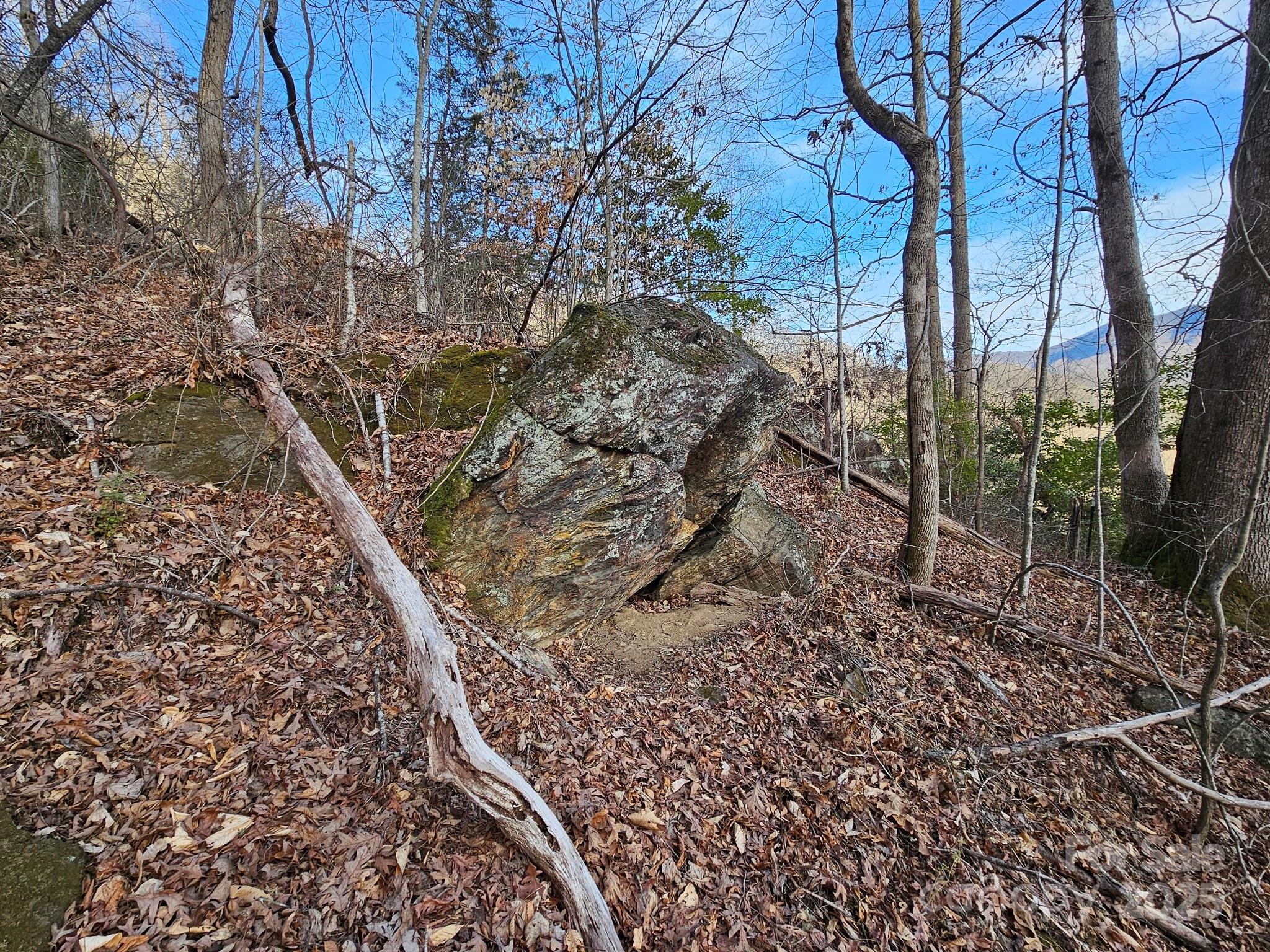 80 Choke Berry Ridge Property Photo 12