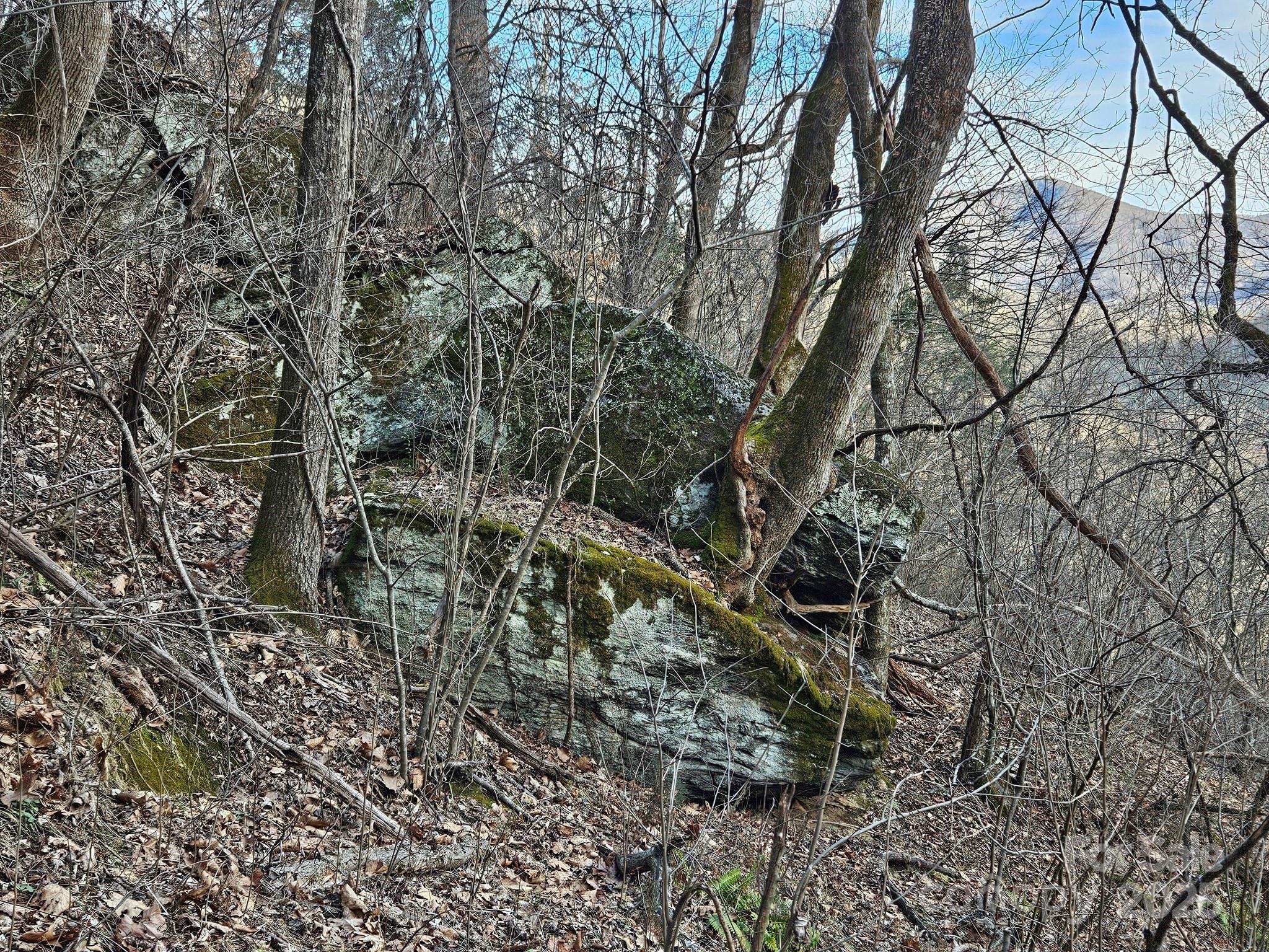 80 Choke Berry Ridge Property Photo 14