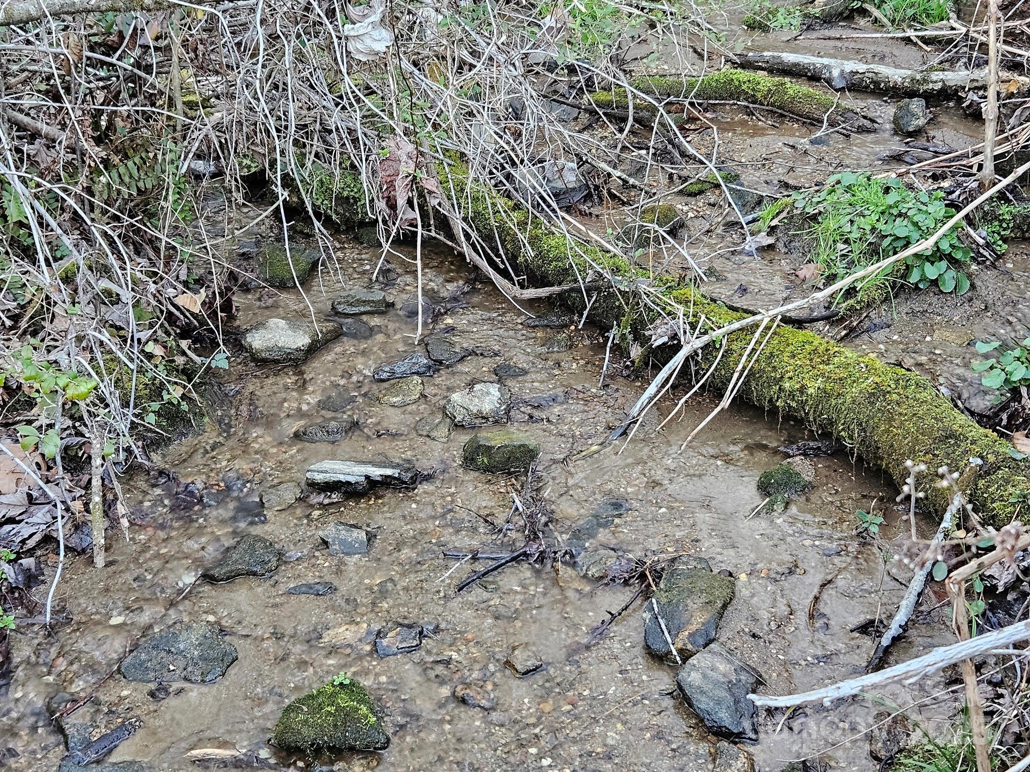 80 Choke Berry Ridge Property Photo 15