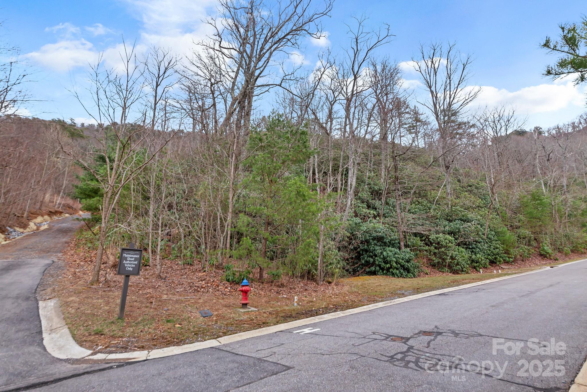 52 Sisters View Drive 163 Property Photo 1