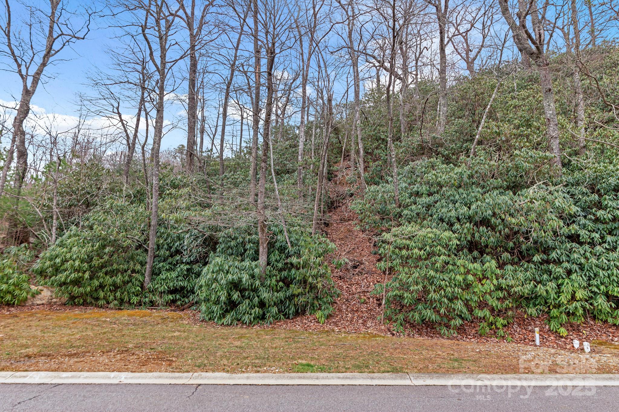 52 Sisters View Drive 163 Property Photo 4