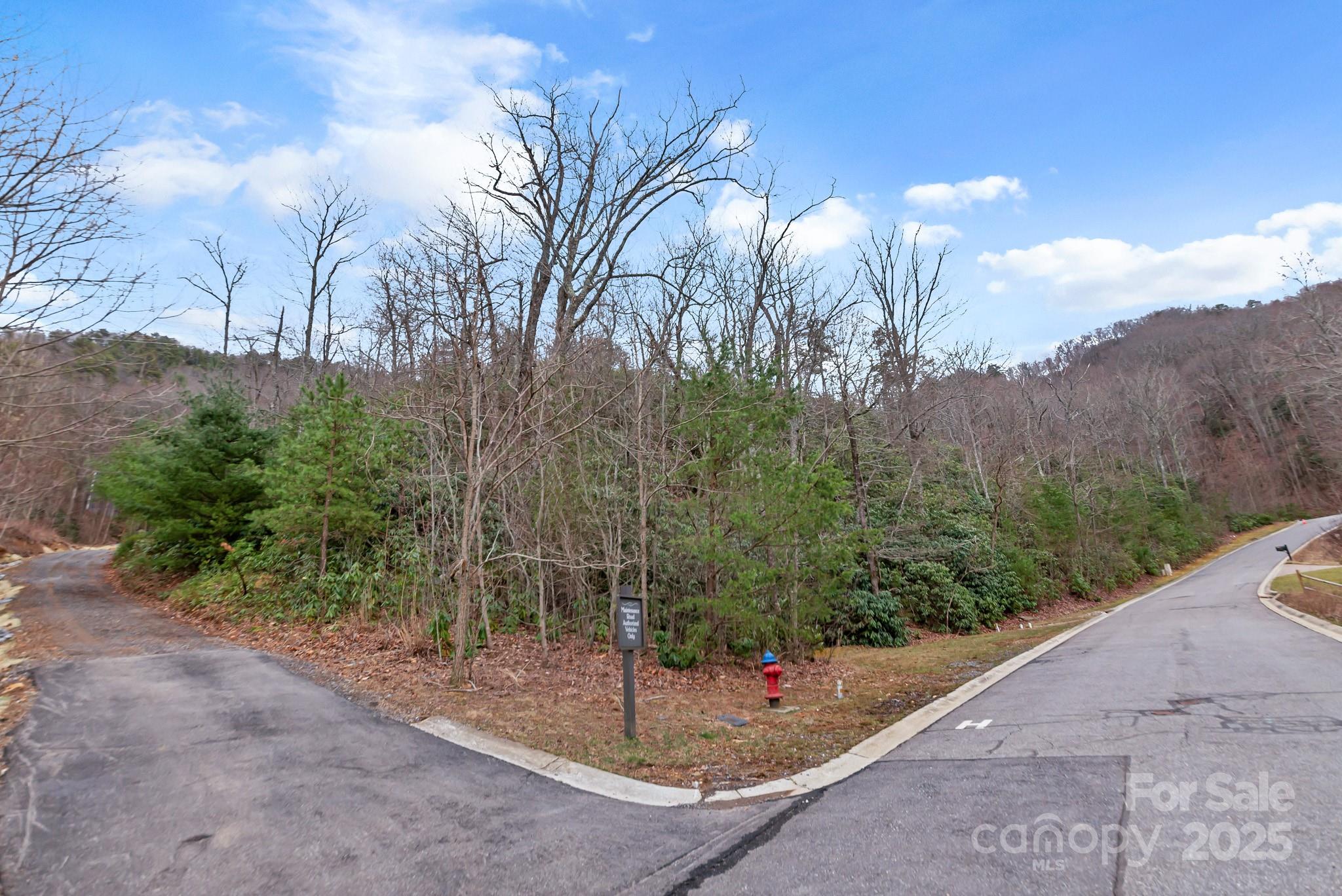 52 Sisters View Drive 163 Property Photo 14