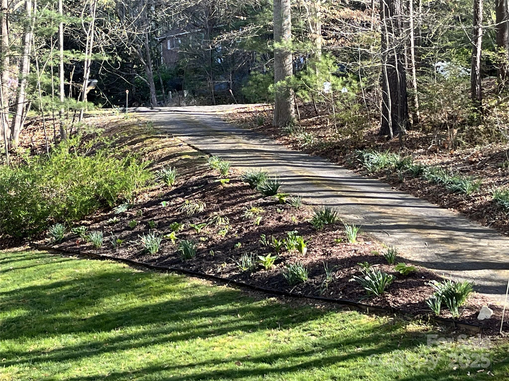 17 Morris Drive Property Photo 10