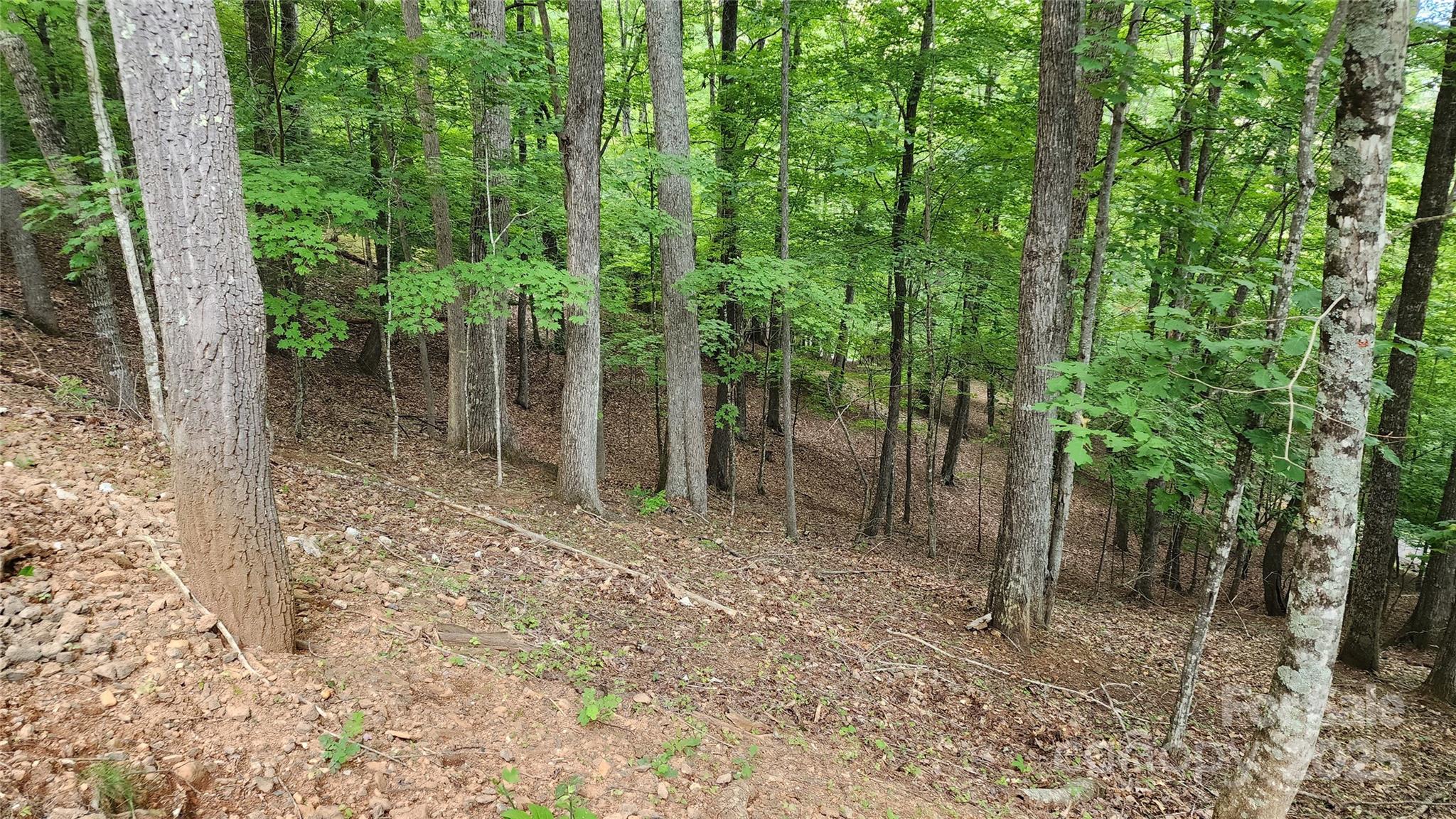 12 Hickory Springs Road 12 Property Photo