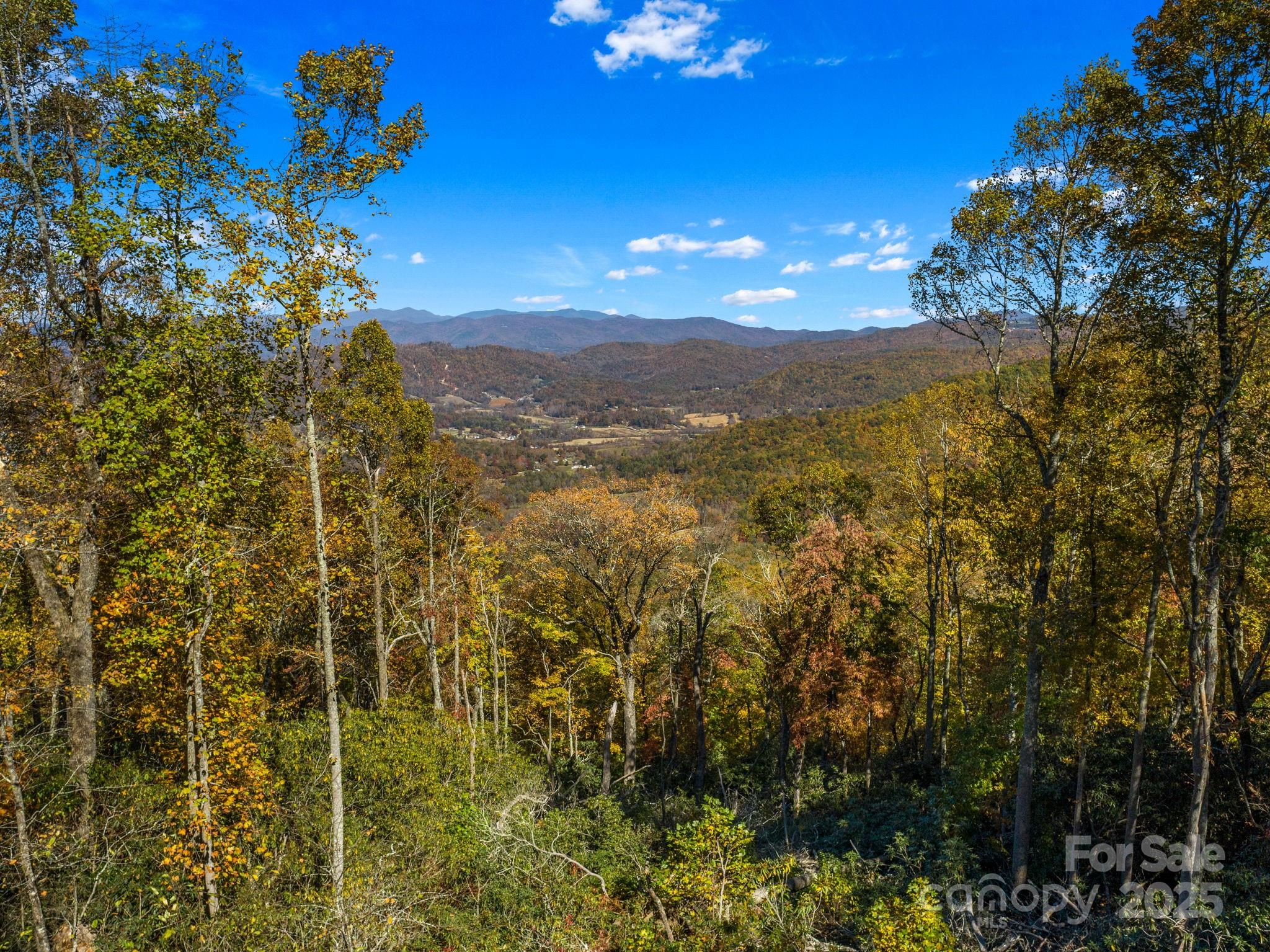00 Laurel Ledge Way 19 Property Photo