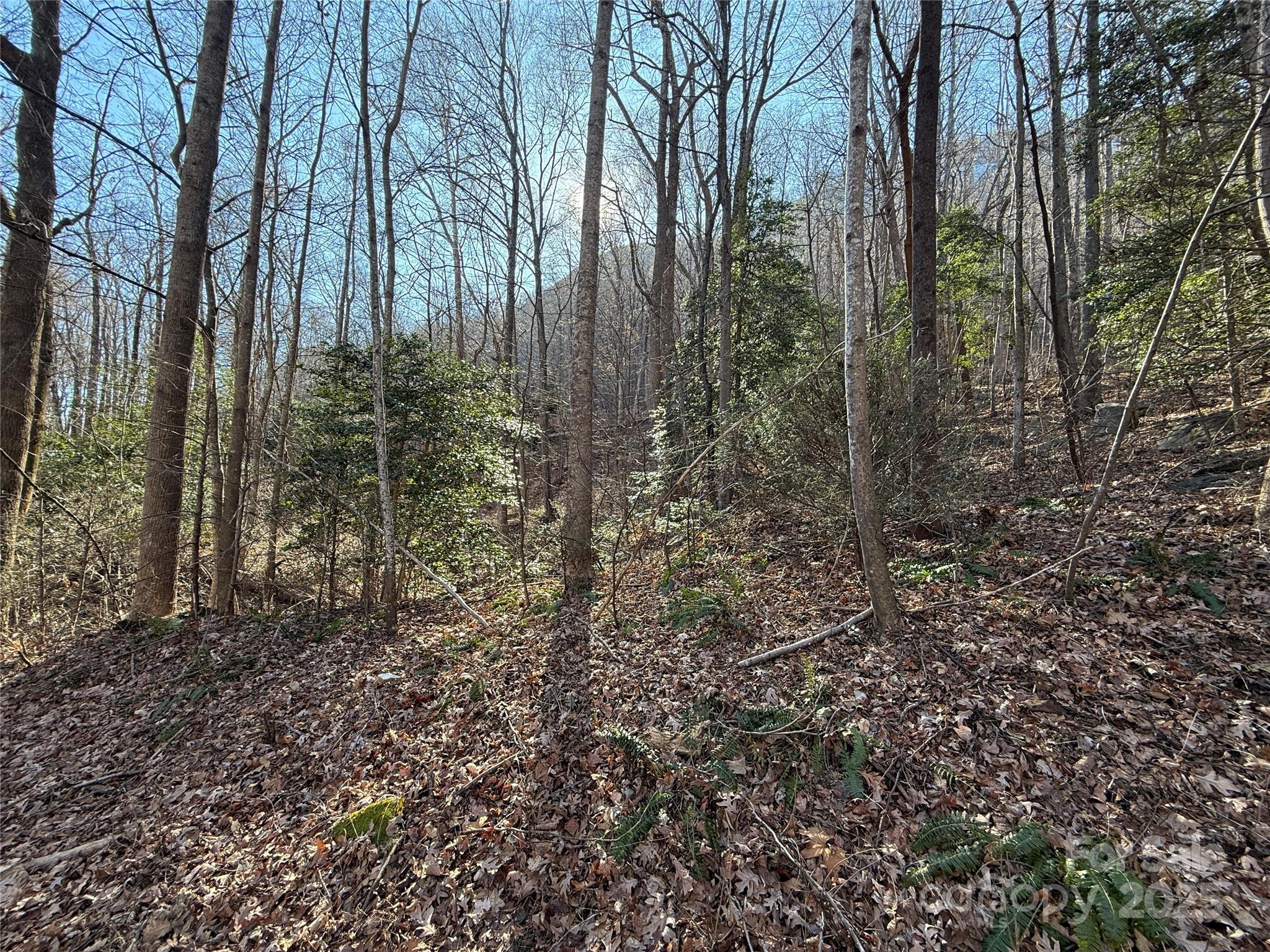 Lot 343 Bolt Road Property Photo
