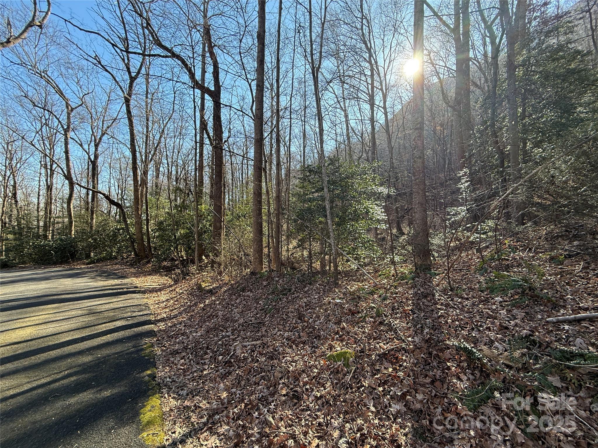 Lot 343 Bolt Road Property Photo 2