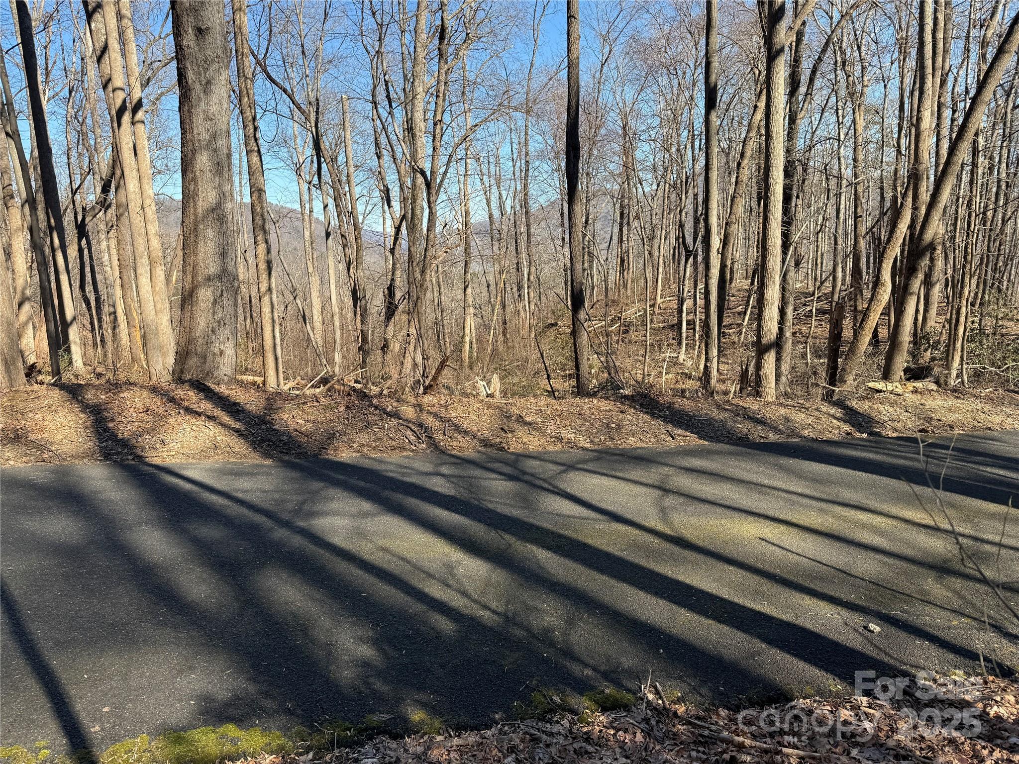 Lot 343 Bolt Road Property Photo 3