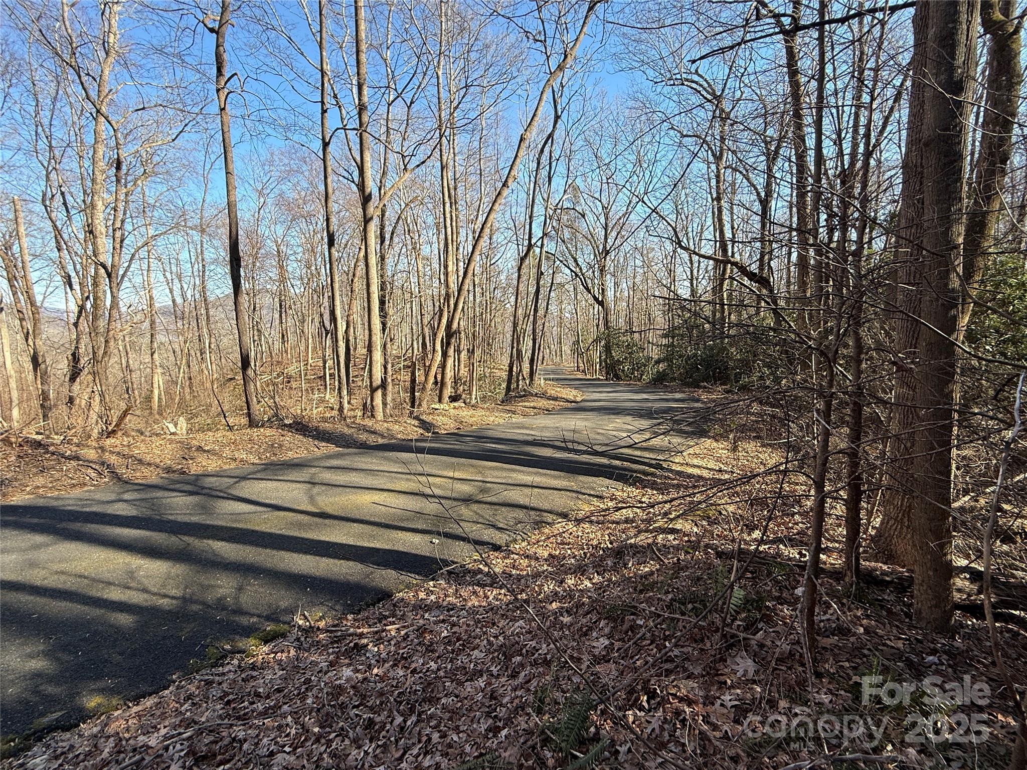 Lot 343 Bolt Road Property Photo 4