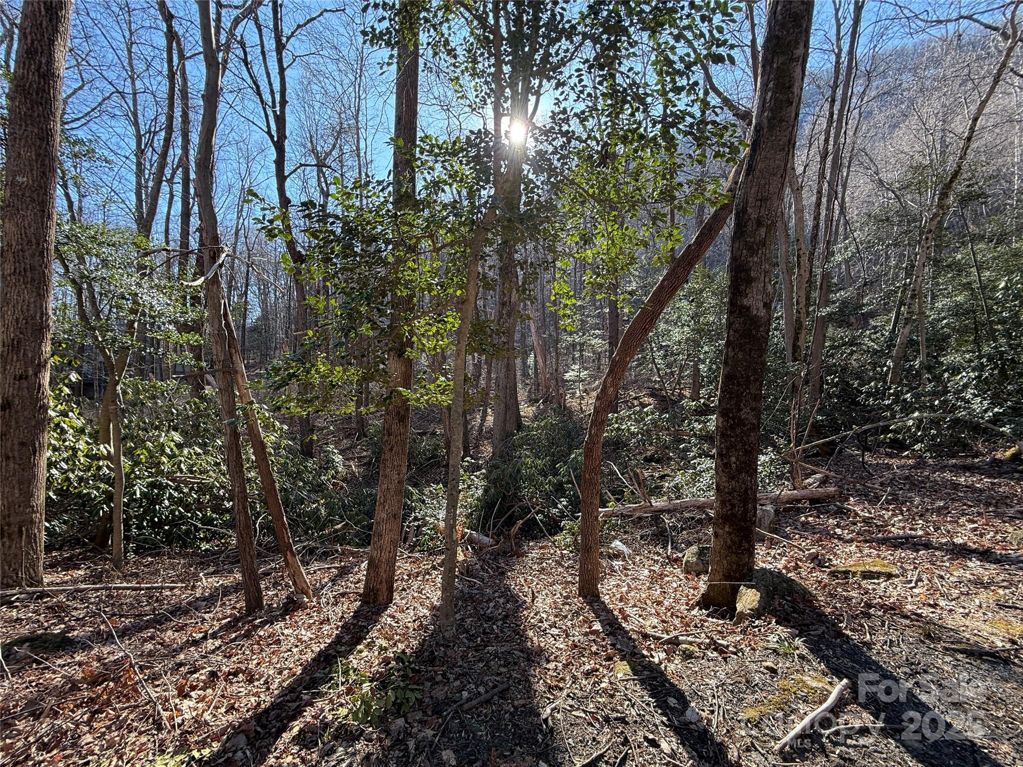 Lot 343 Bolt Road Property Photo 20
