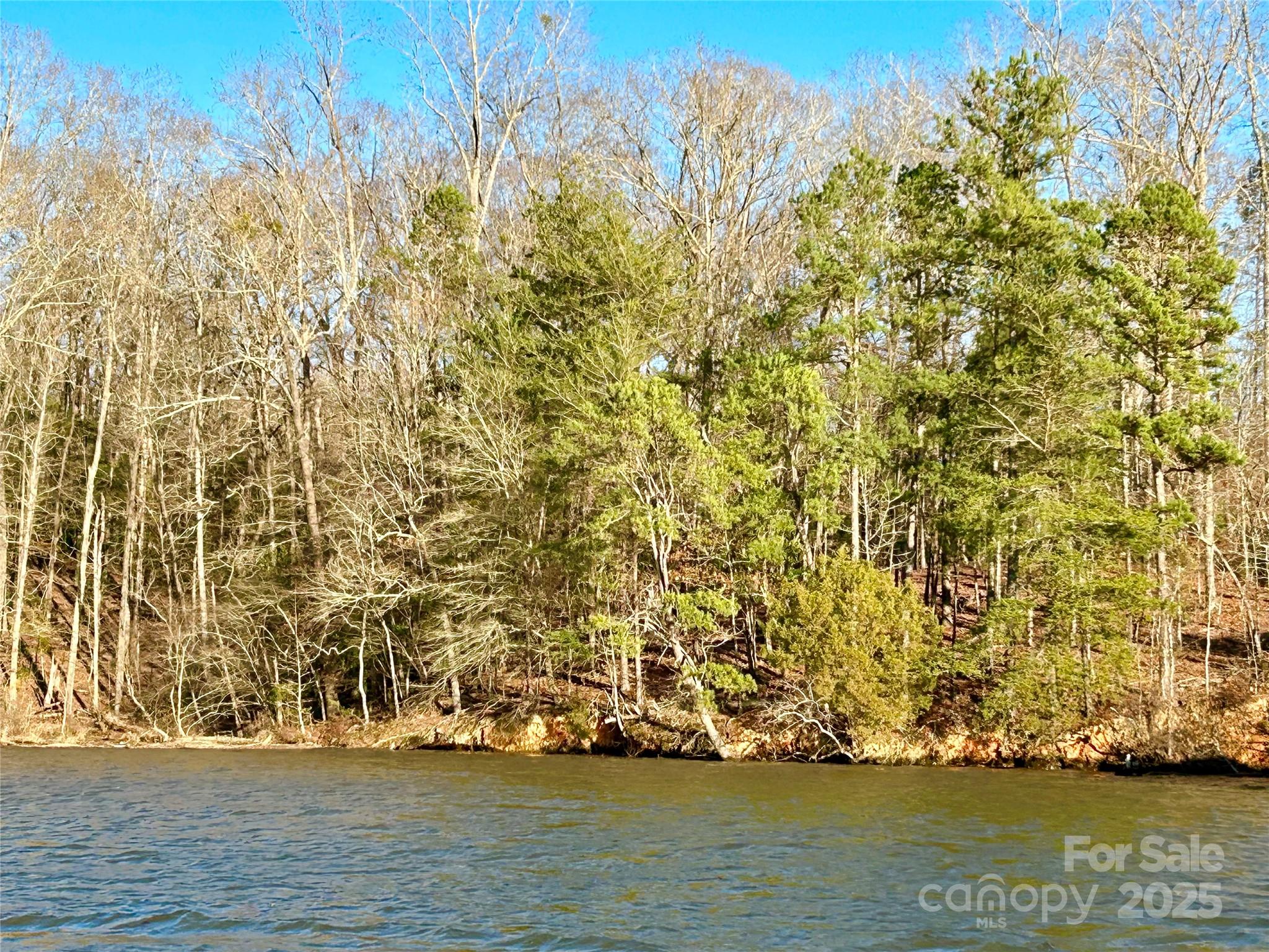 0 Forest Lake Court Property Photo