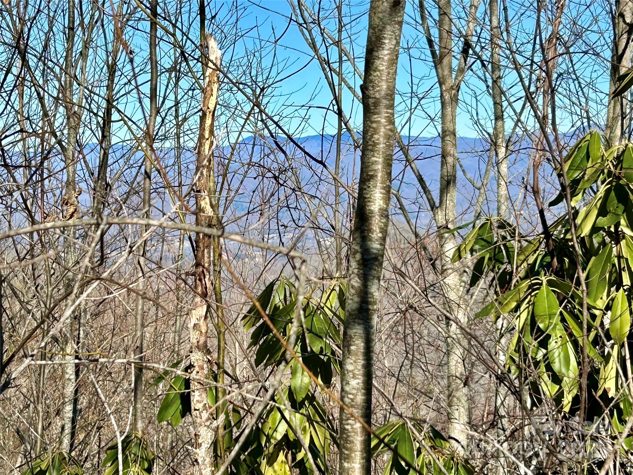 0 Middle Ridge 42 Property Photo 3