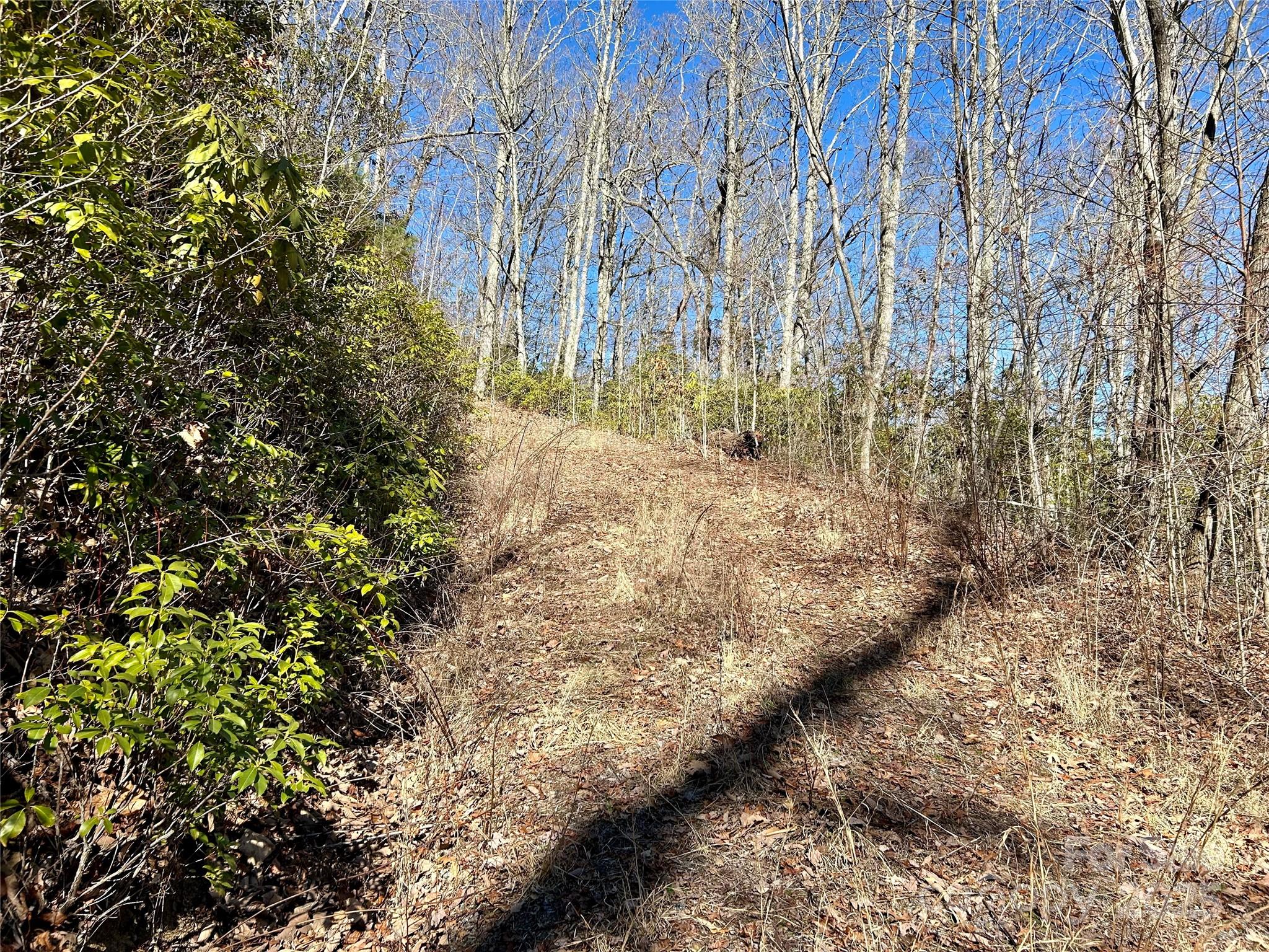 0 Middle Ridge 42 Property Photo 4