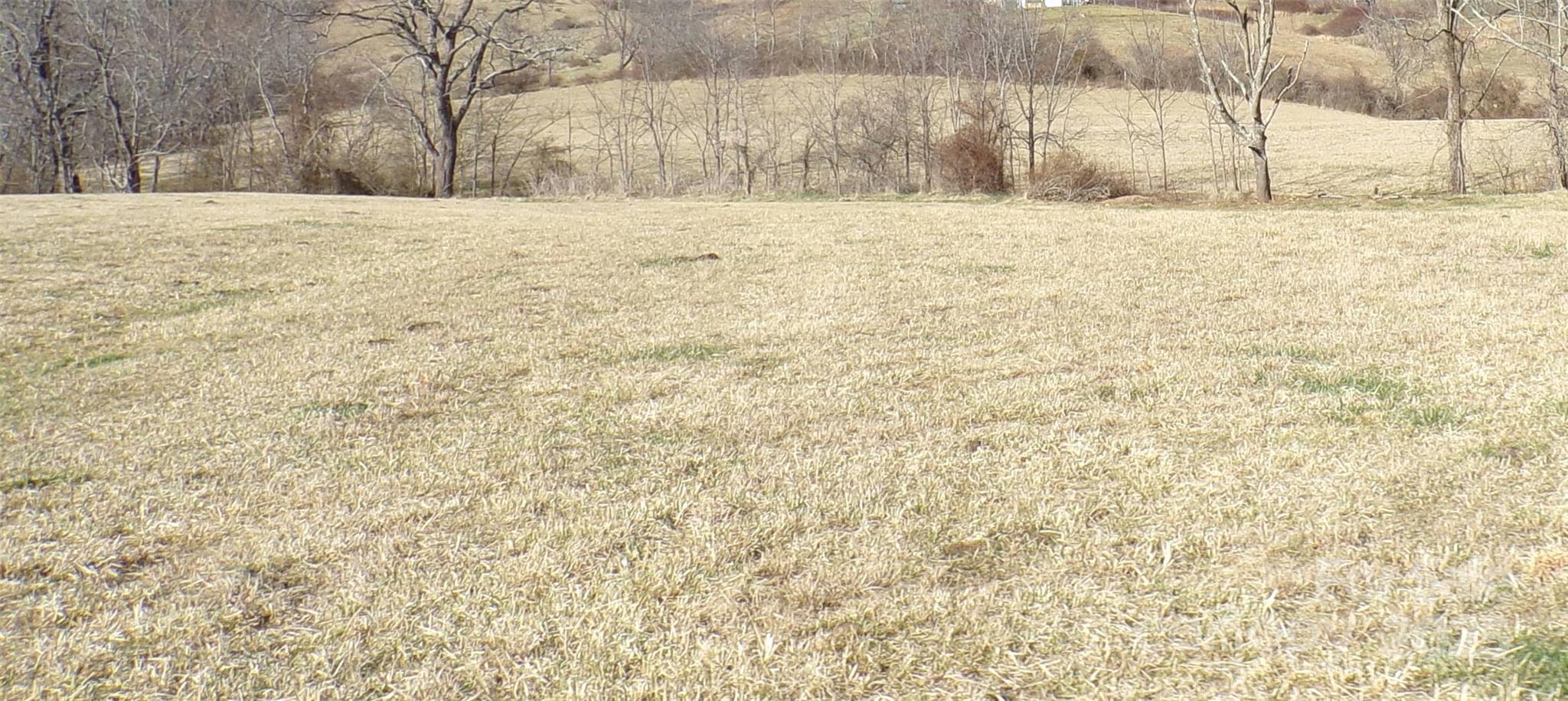 99999 Green Valley Road Property Photo 7
