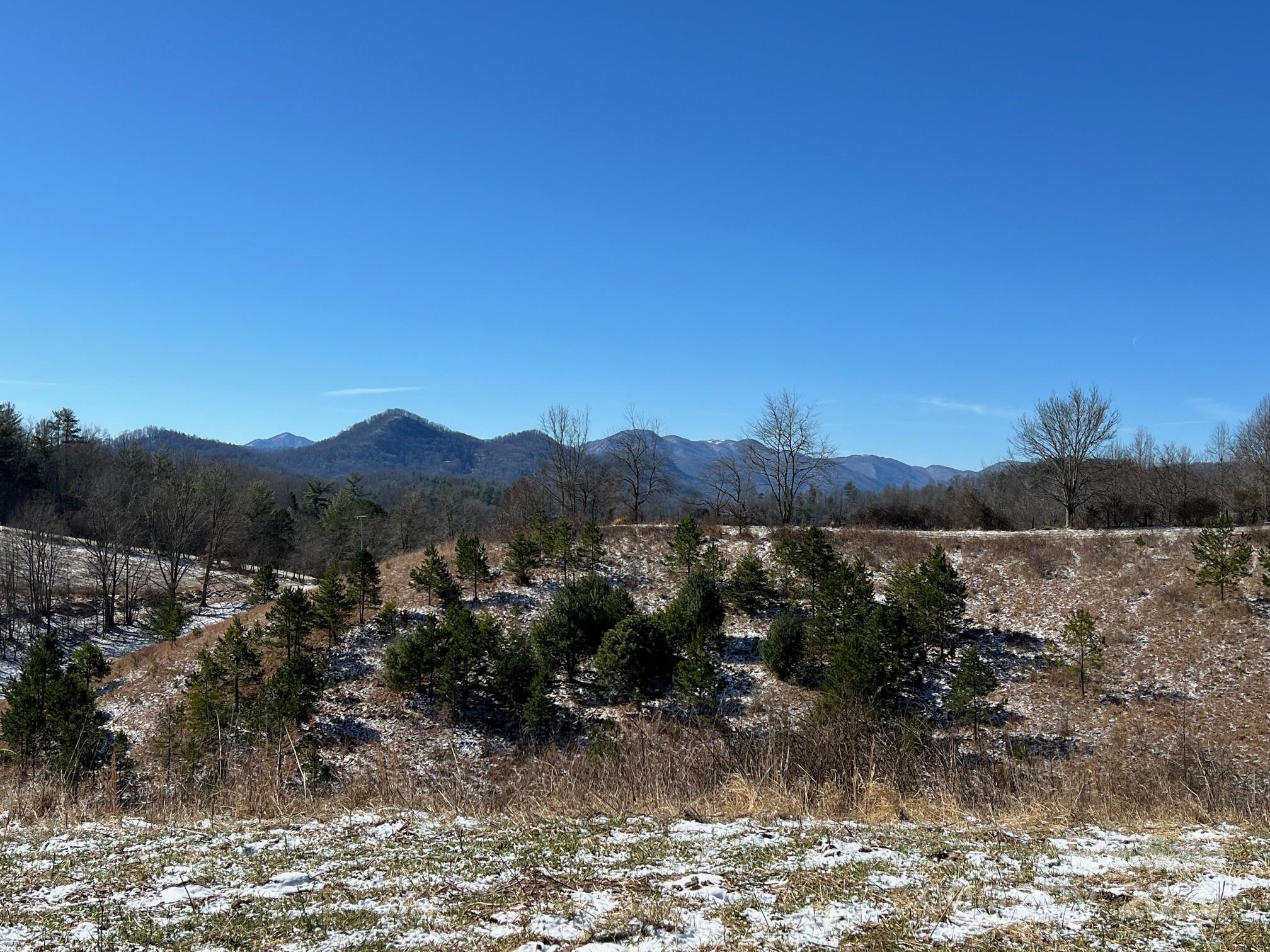 7550 Meadows Town Road Property Photo 6