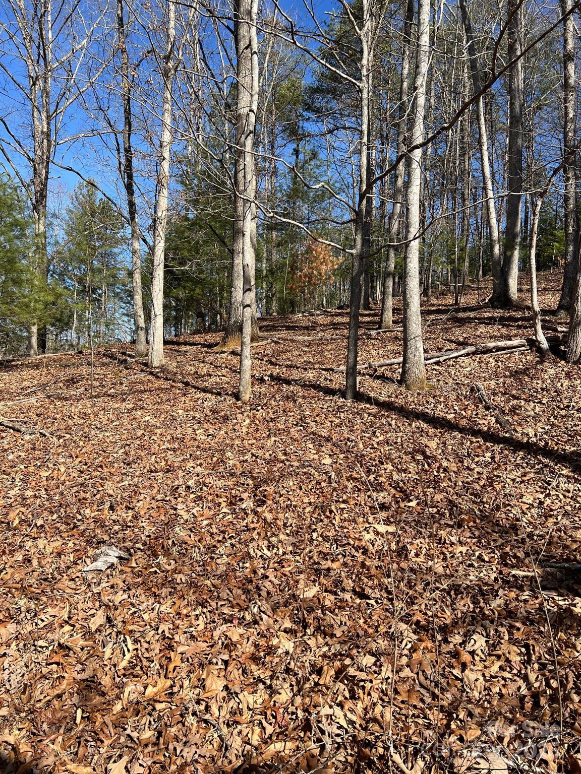 7550 Meadows Town Road Property Photo 19