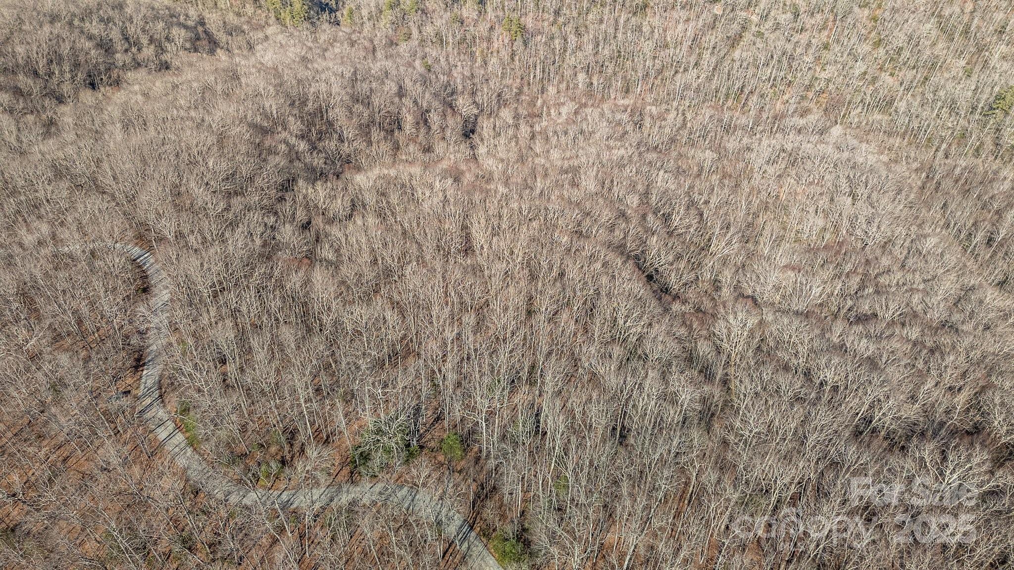 Lot F115 Leafy Knoll Circle Property Photo 3