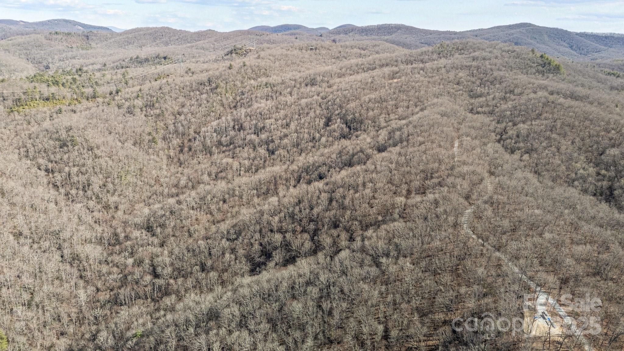 Lot F115 Leafy Knoll Circle Property Photo 7
