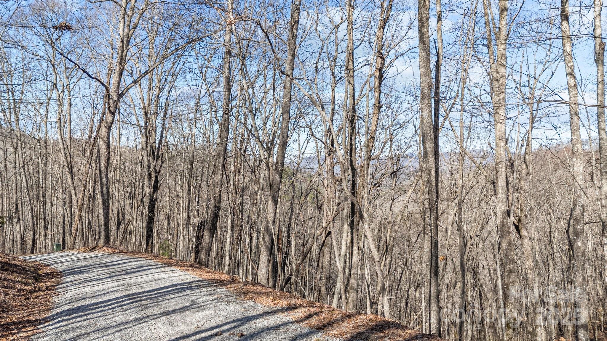 Lot F115 Leafy Knoll Circle Property Photo 9