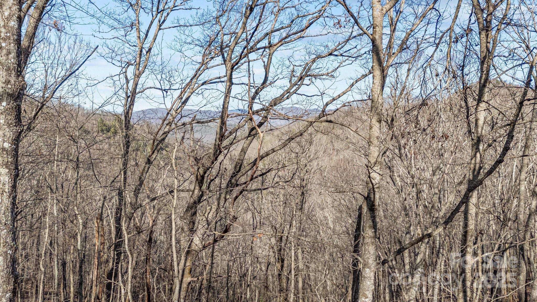 Lot F115 Leafy Knoll Circle Property Photo 10