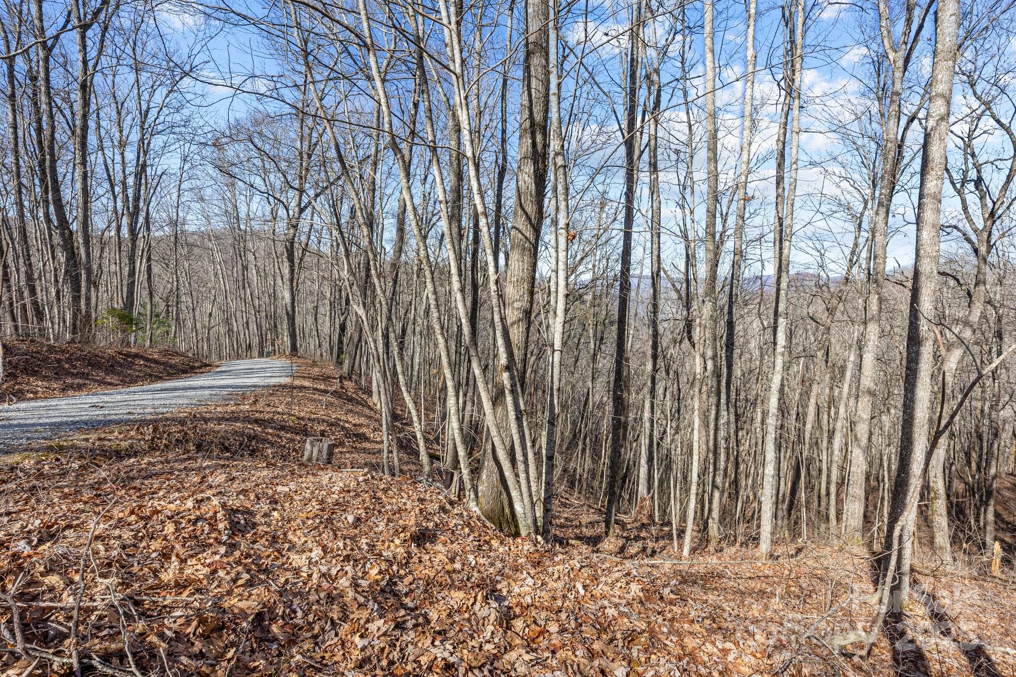 Lot F115 Leafy Knoll Circle Property Photo 12