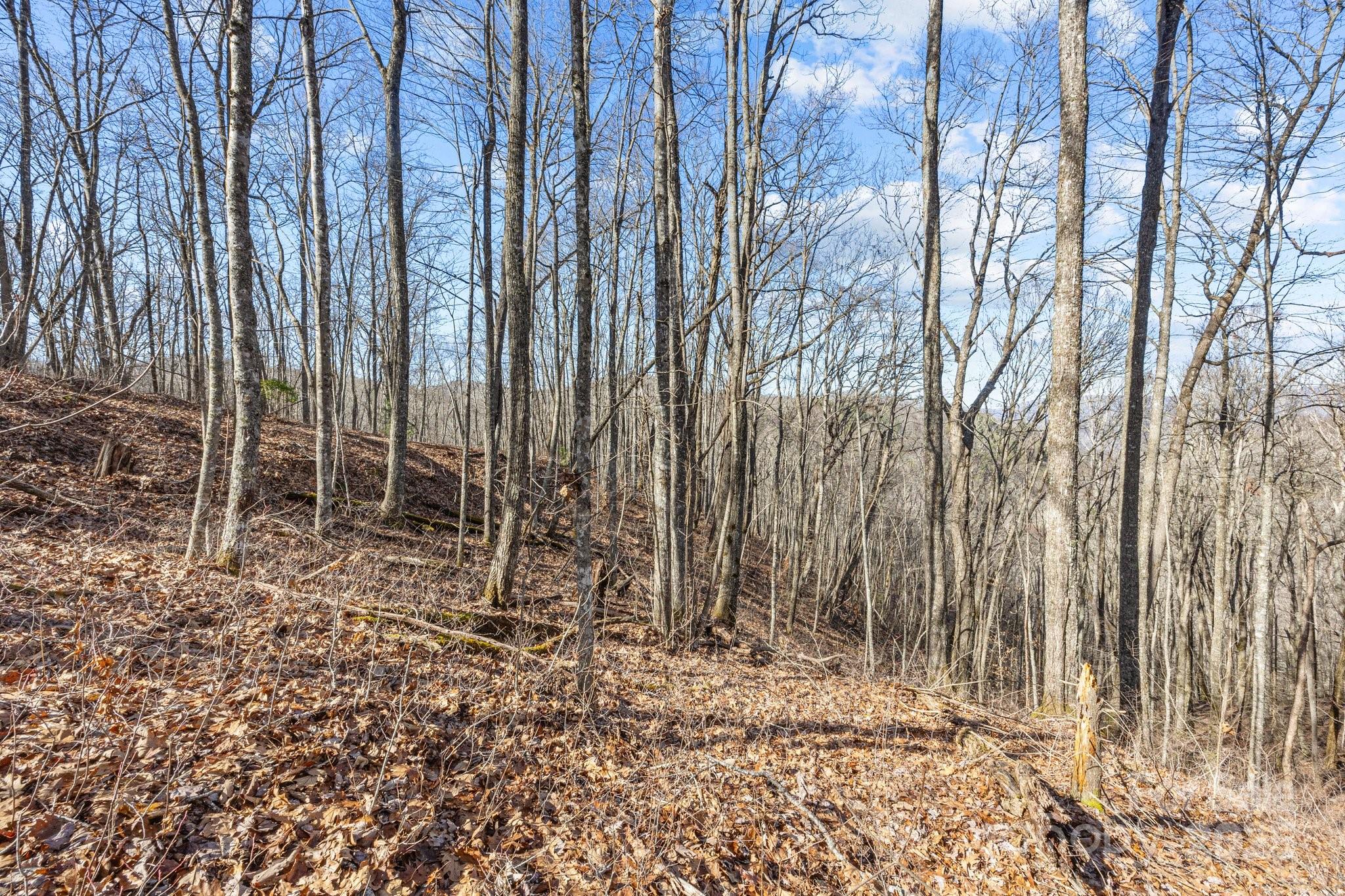 Lot F115 Leafy Knoll Circle Property Photo 13