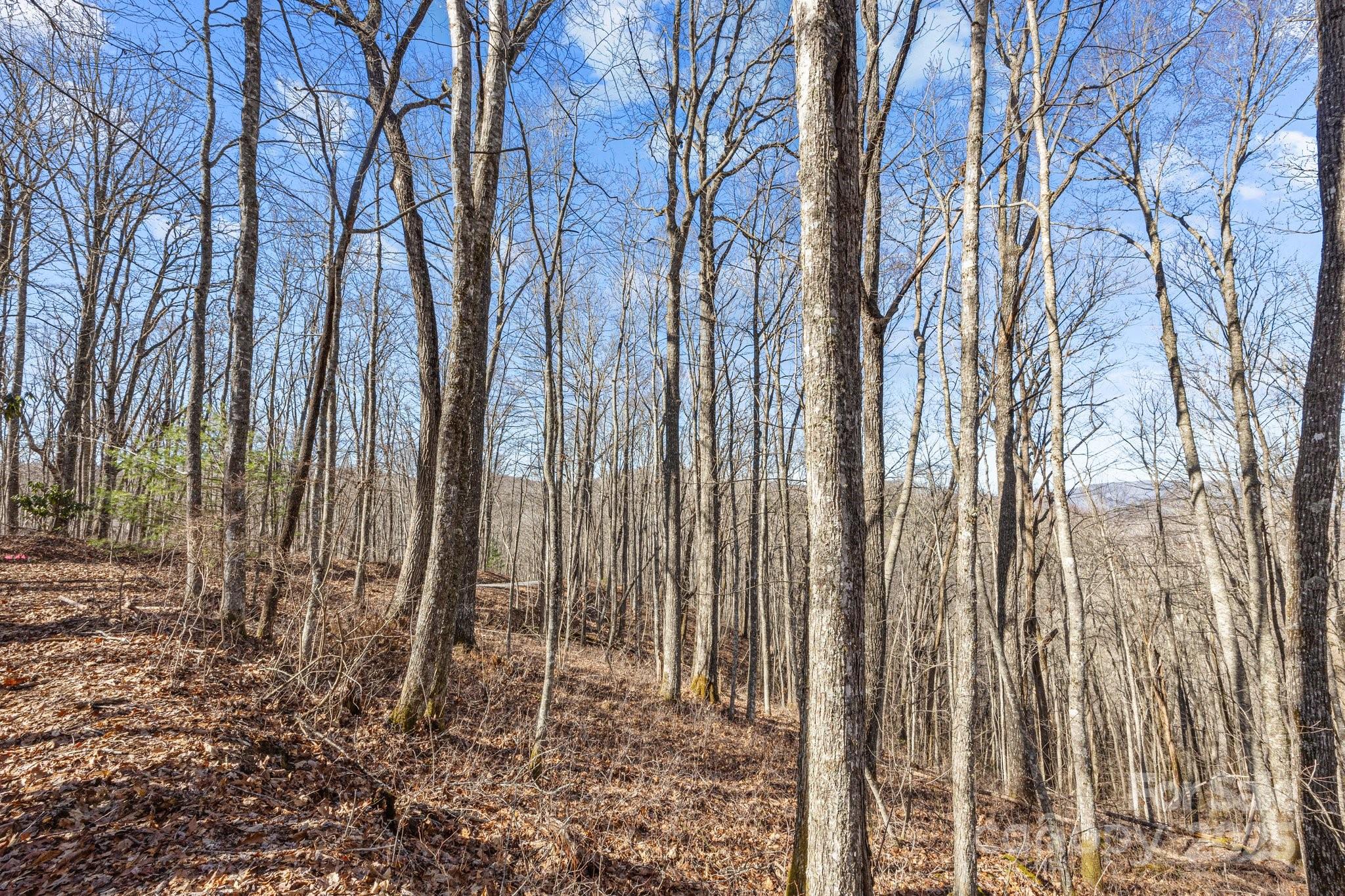 Lot F115 Leafy Knoll Circle Property Photo 15
