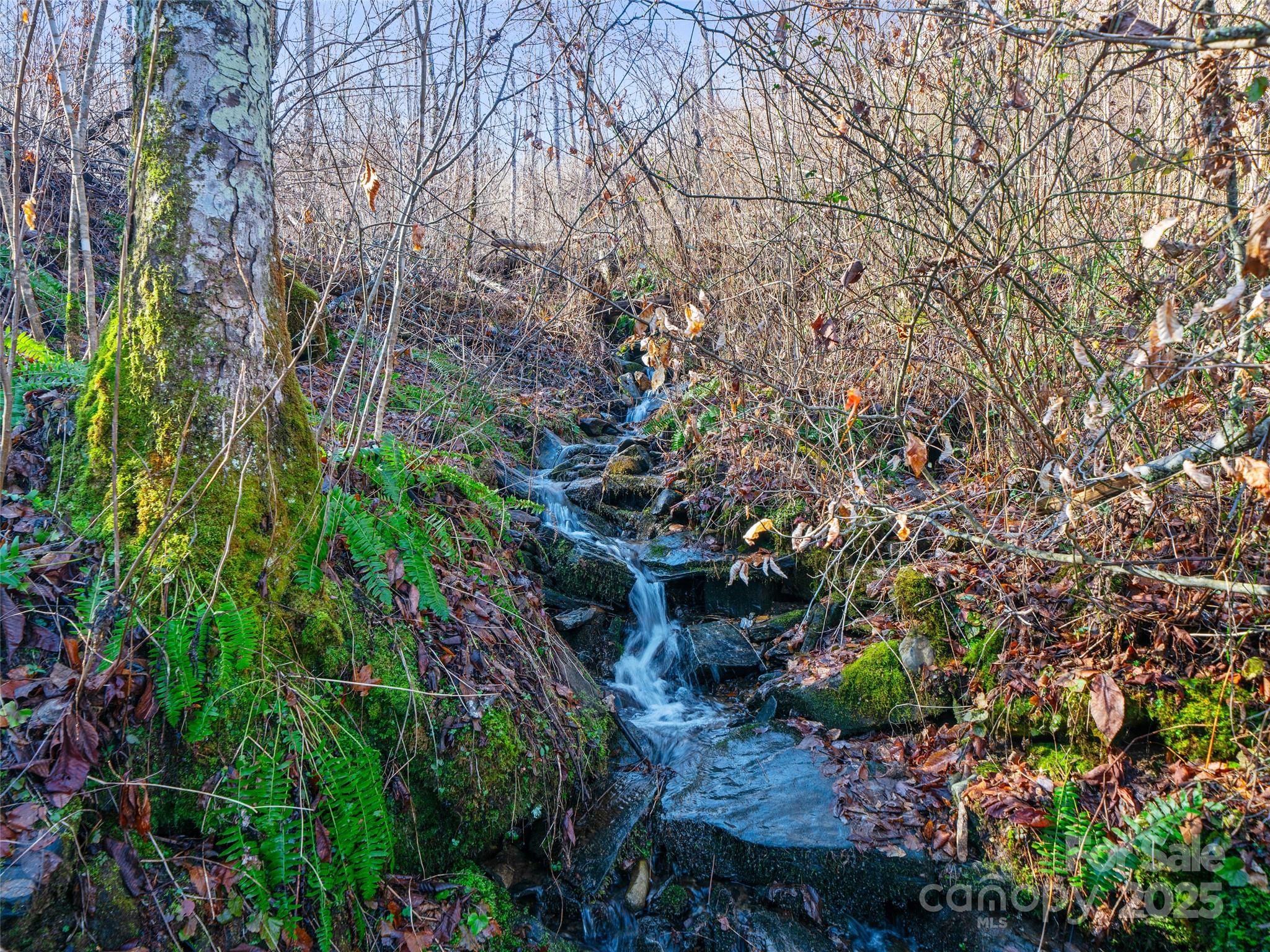 Tbd Prices Creek Road Property Photo