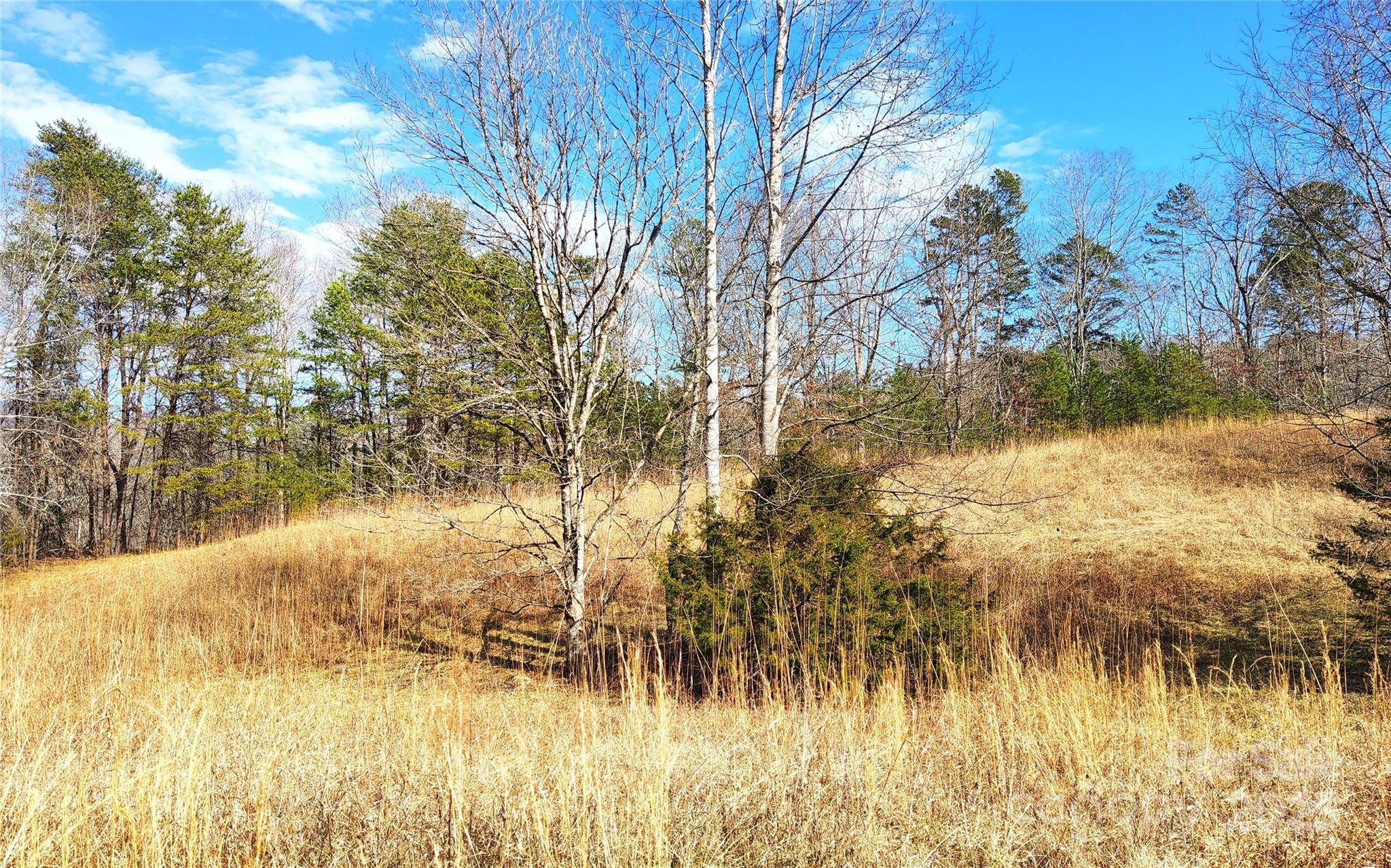 0 Shady Bark Lane 46 Property Photo