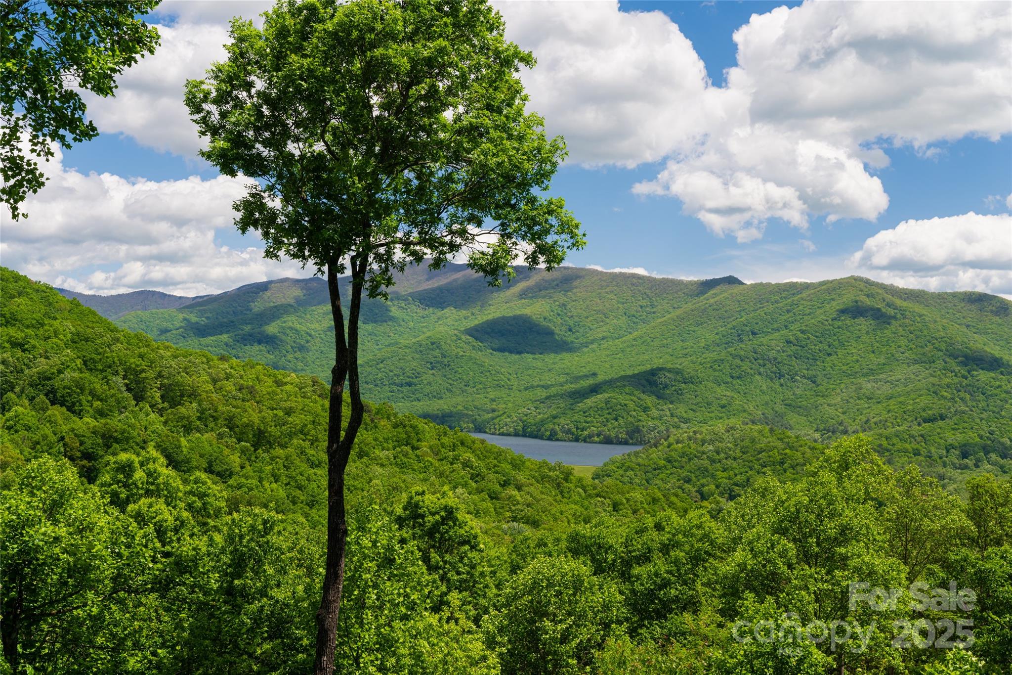 1 Wood Haven Lane Property Photo 6