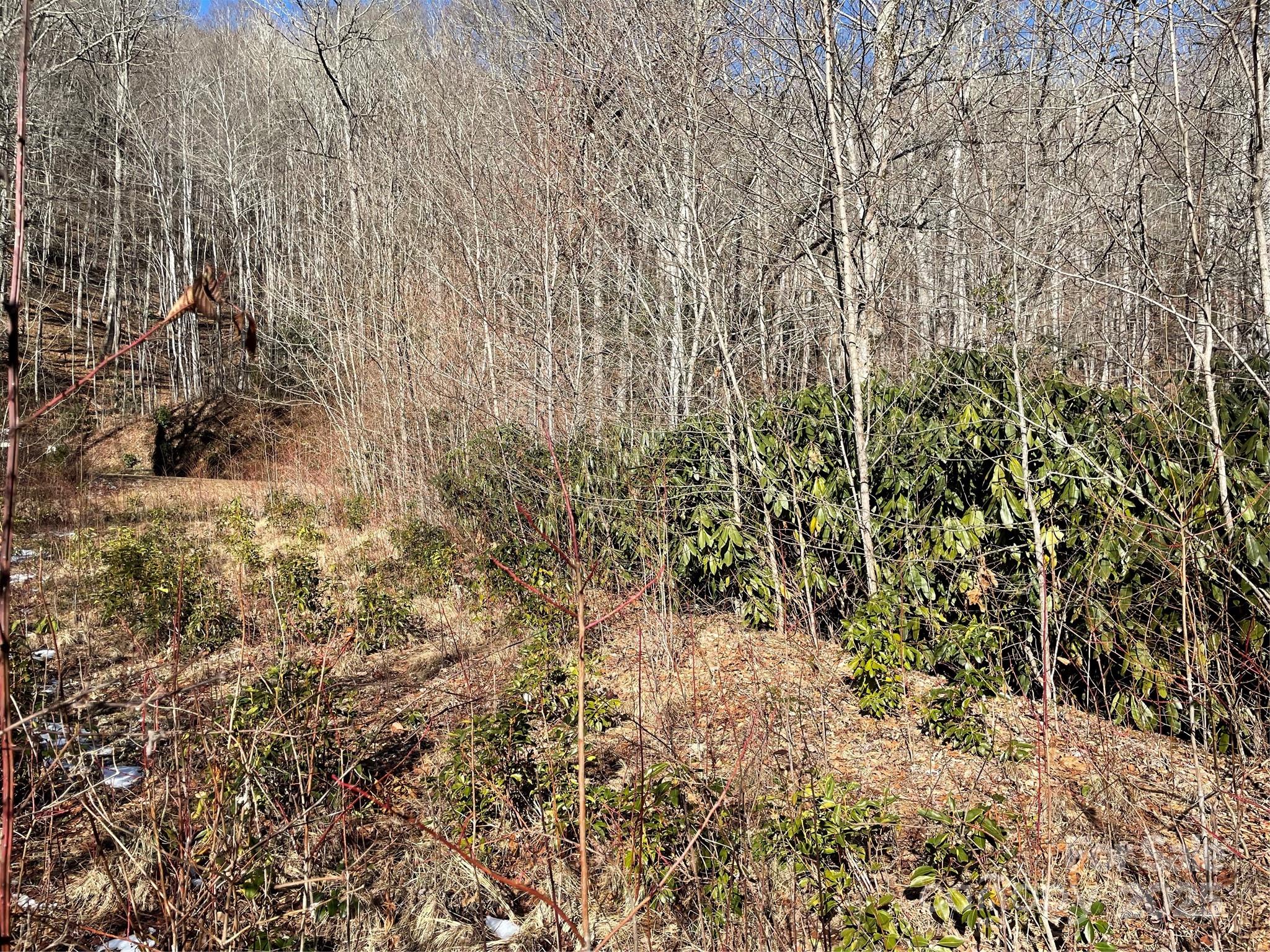 0 Deep Gap View 51 Property Photo 2