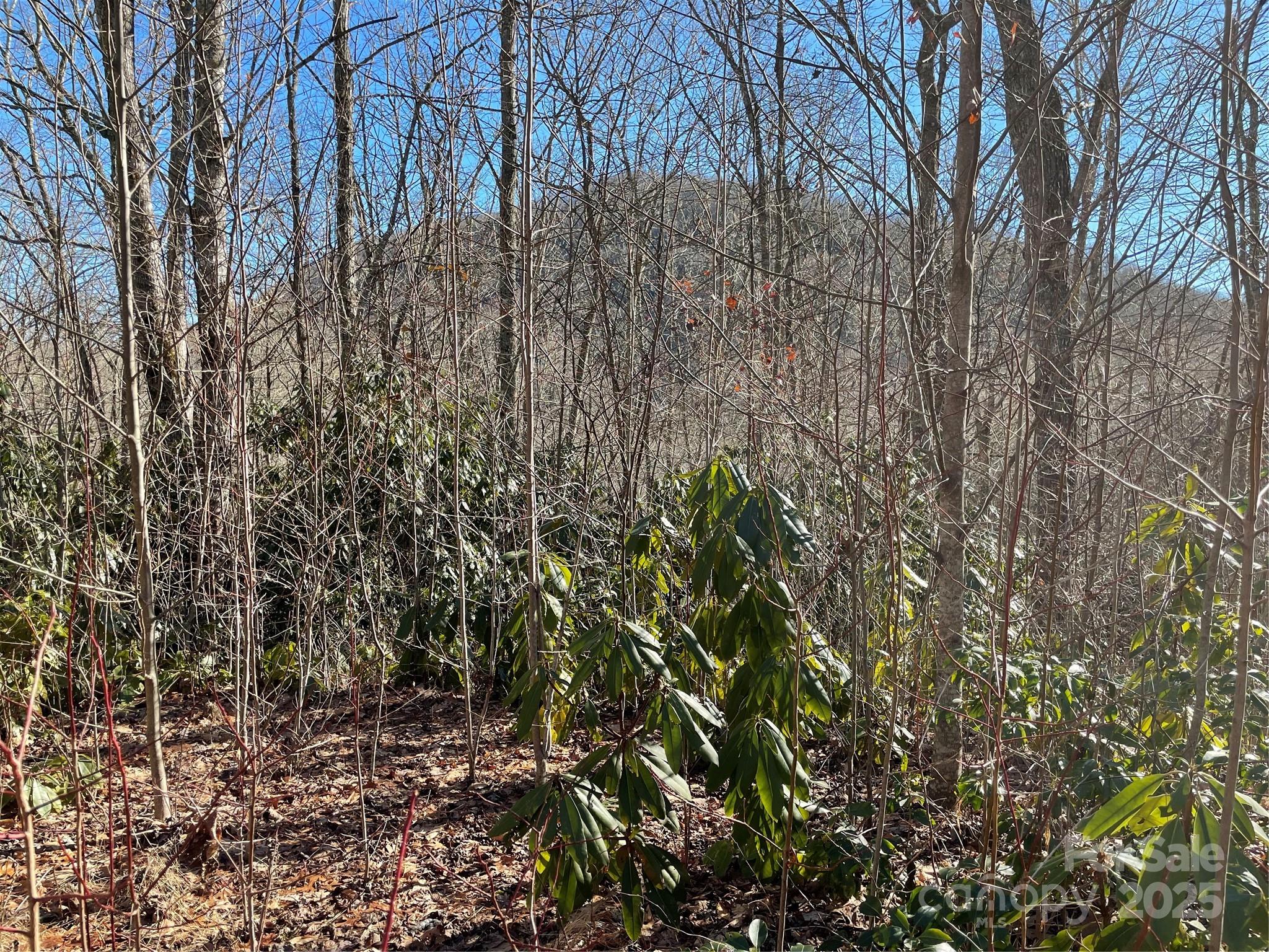 0 Deep Gap View 51 Property Photo 3