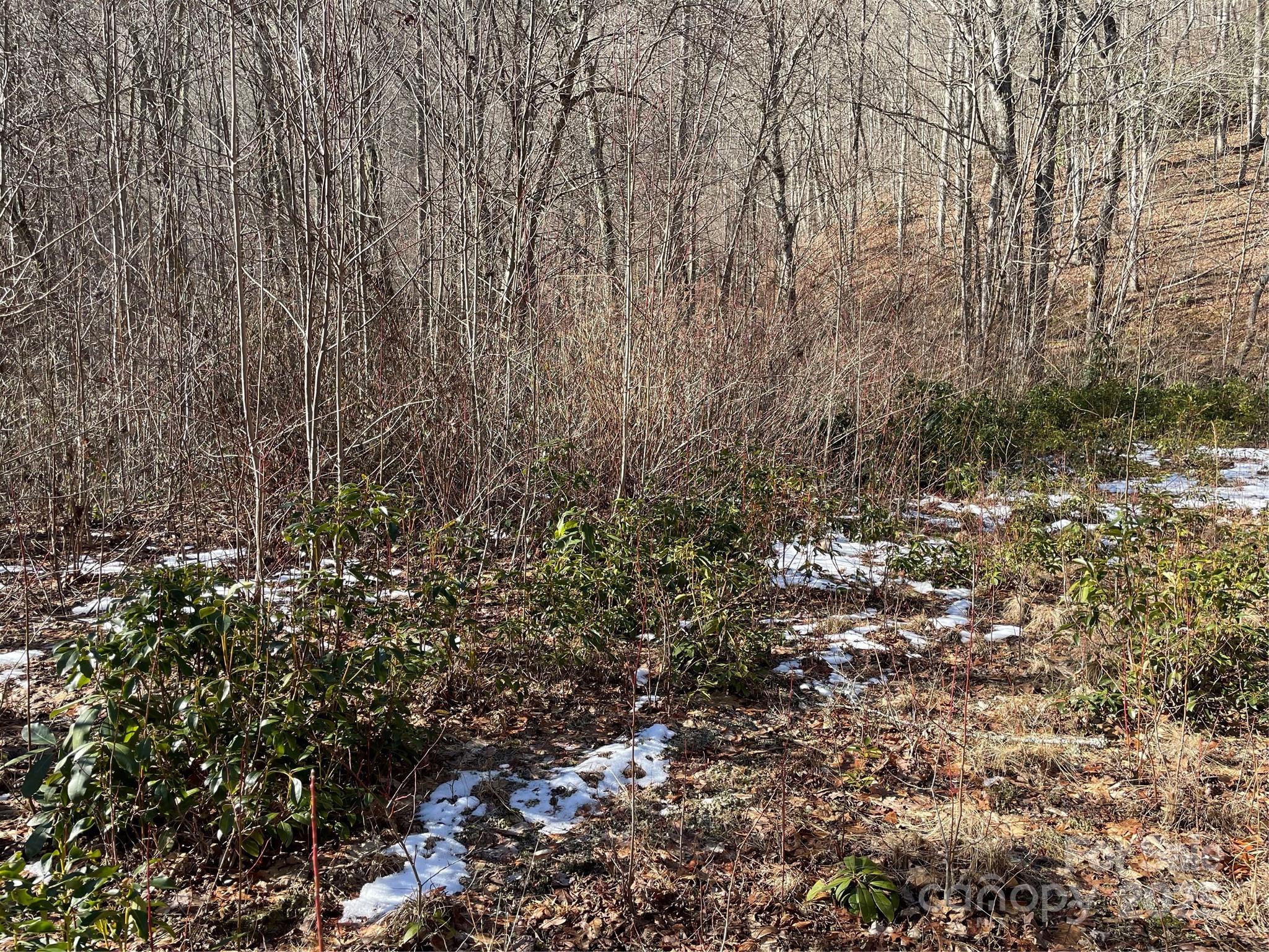 0 Deep Gap View 51 Property Photo 4