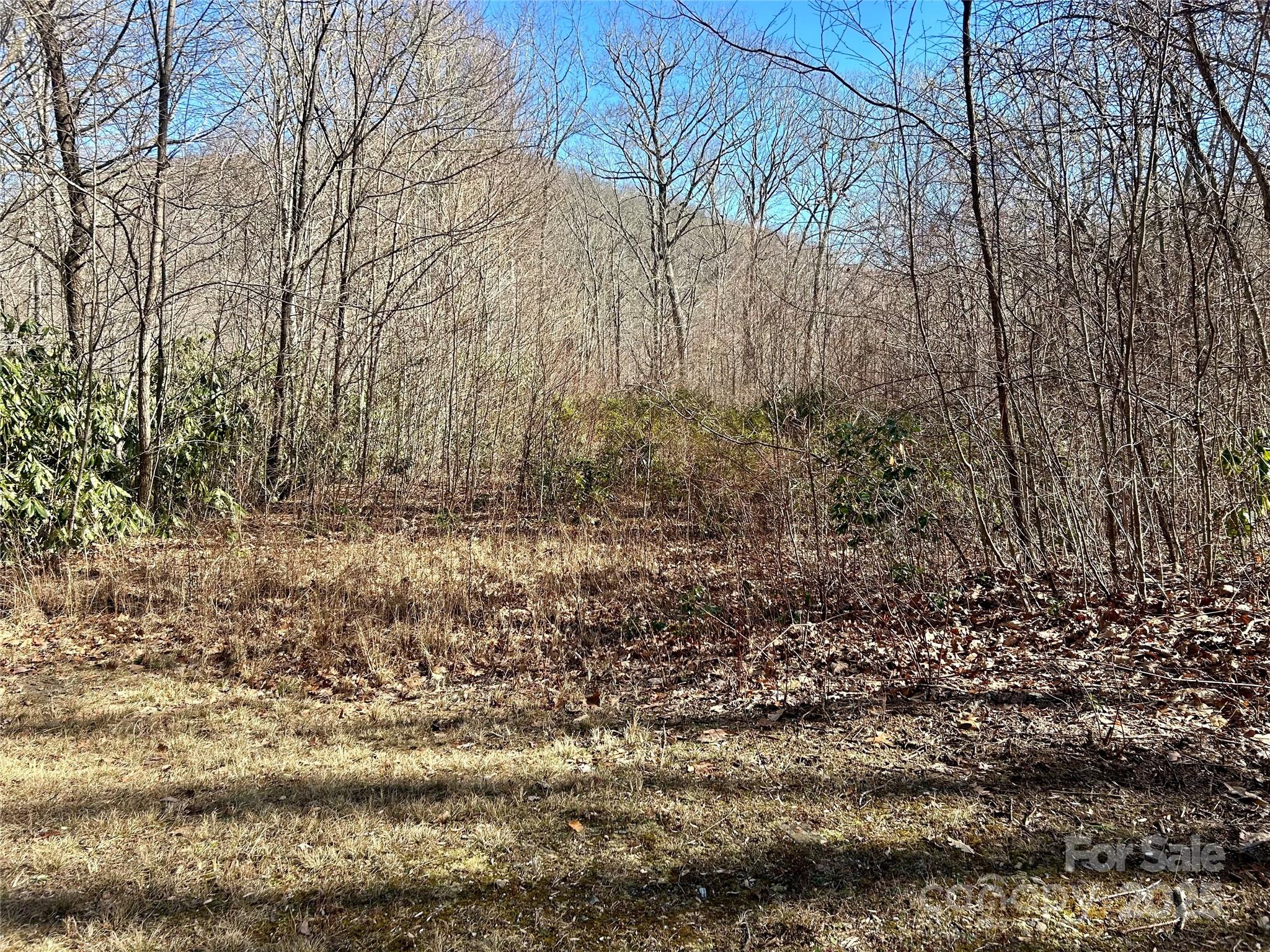 0 Deep Gap View 51 Property Photo 6