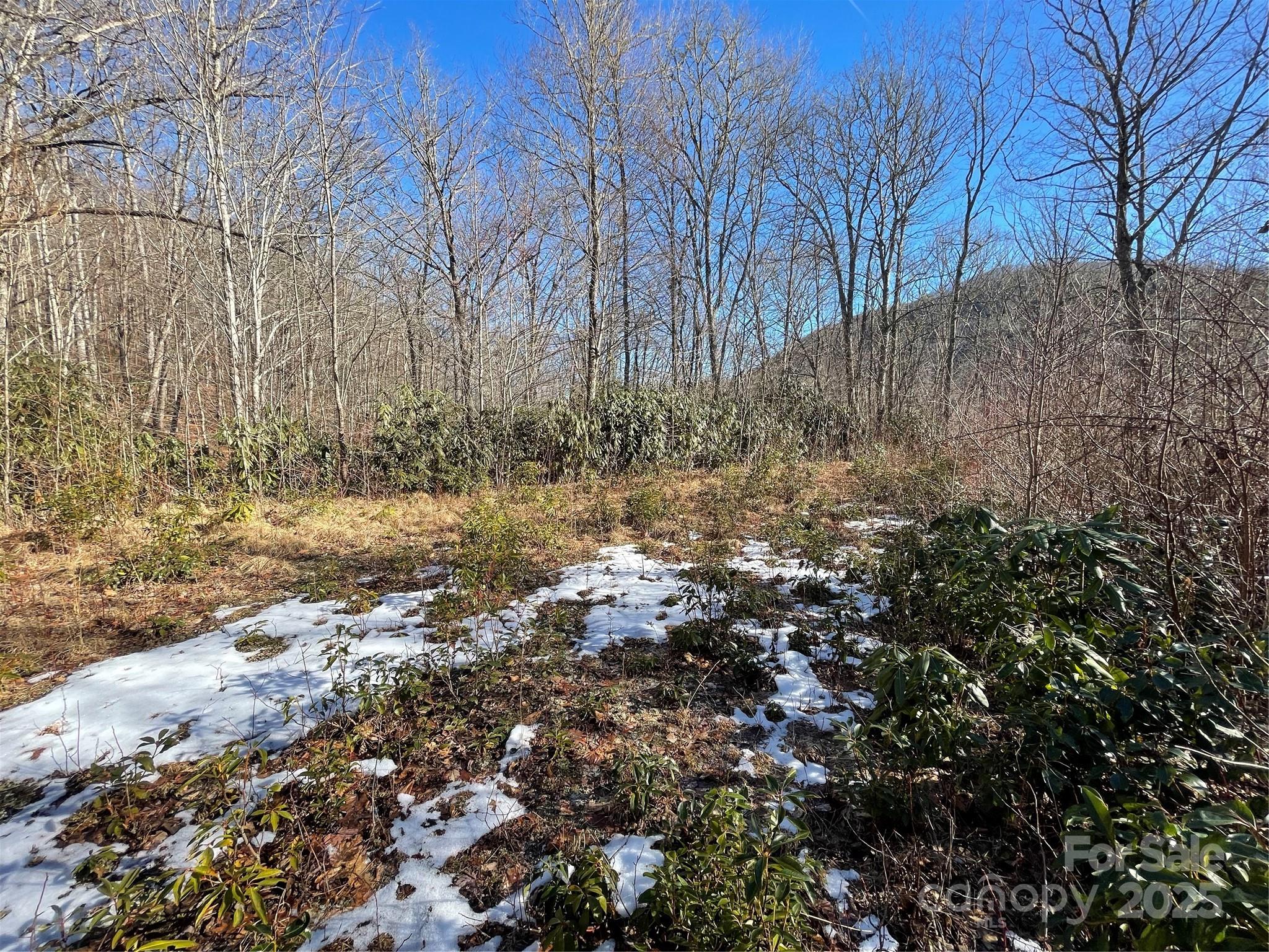 0 Deep Gap View 51 Property Photo 8