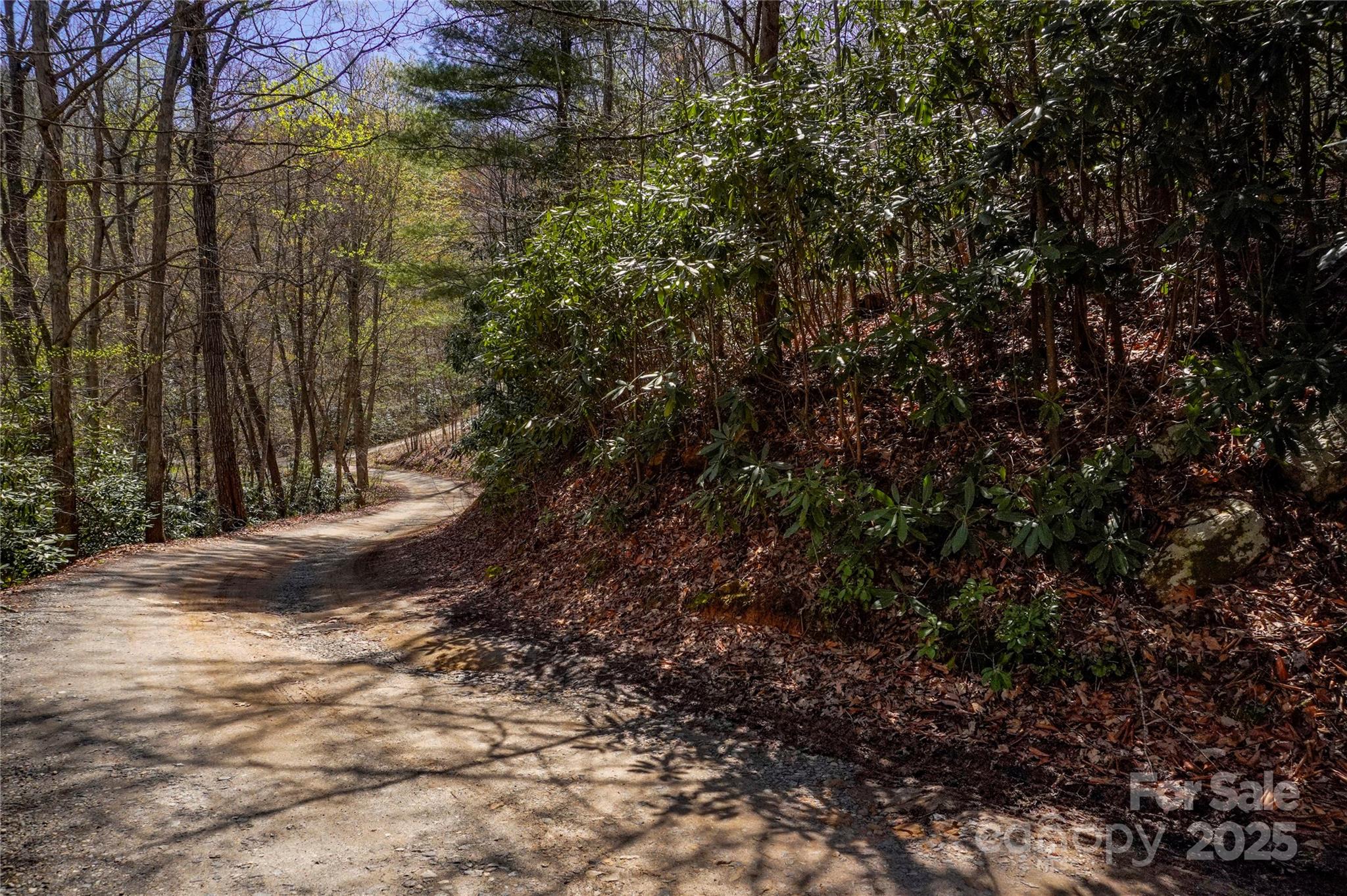 99999 High Top Mountain Drive Property Photo 5