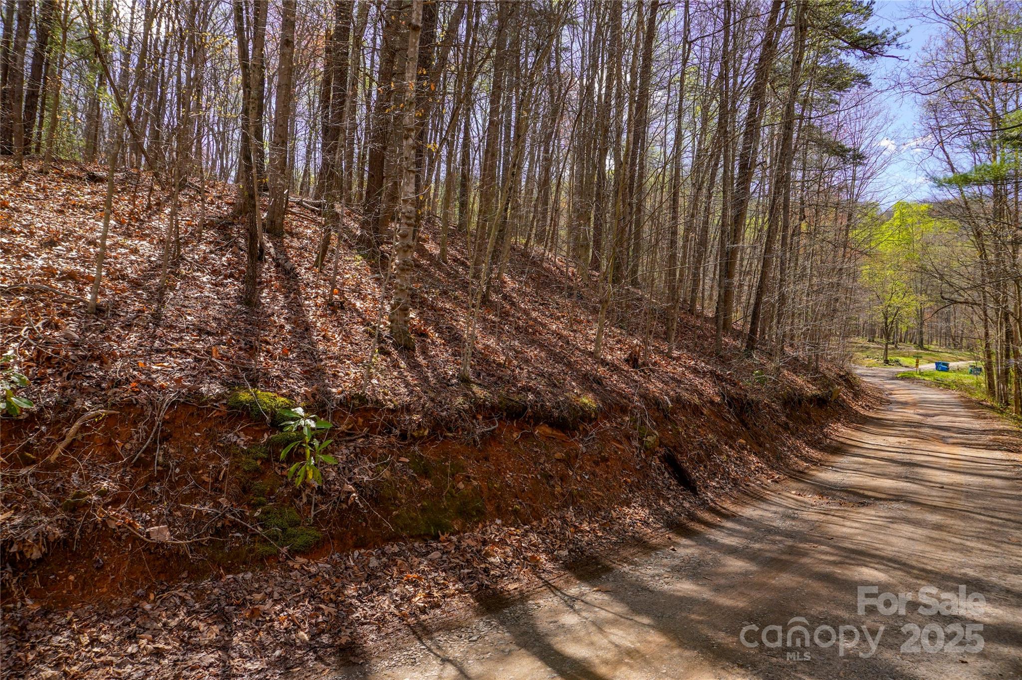 99999 High Top Mountain Drive Property Photo 6