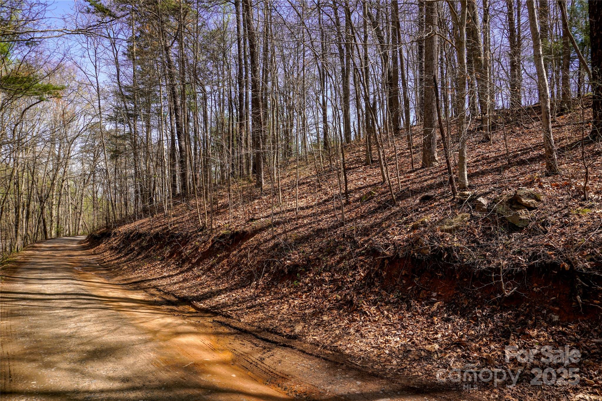 99999 High Top Mountain Drive Property Photo 7