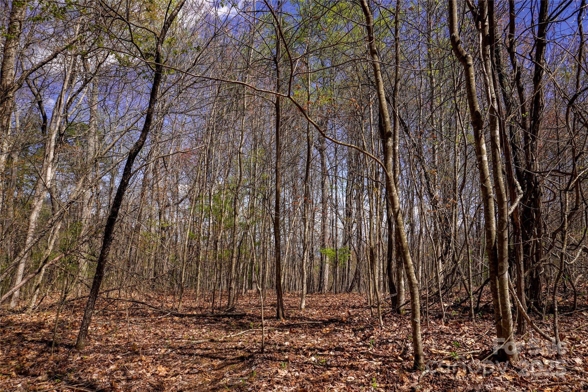 99999 High Top Mountain Drive Property Photo 8
