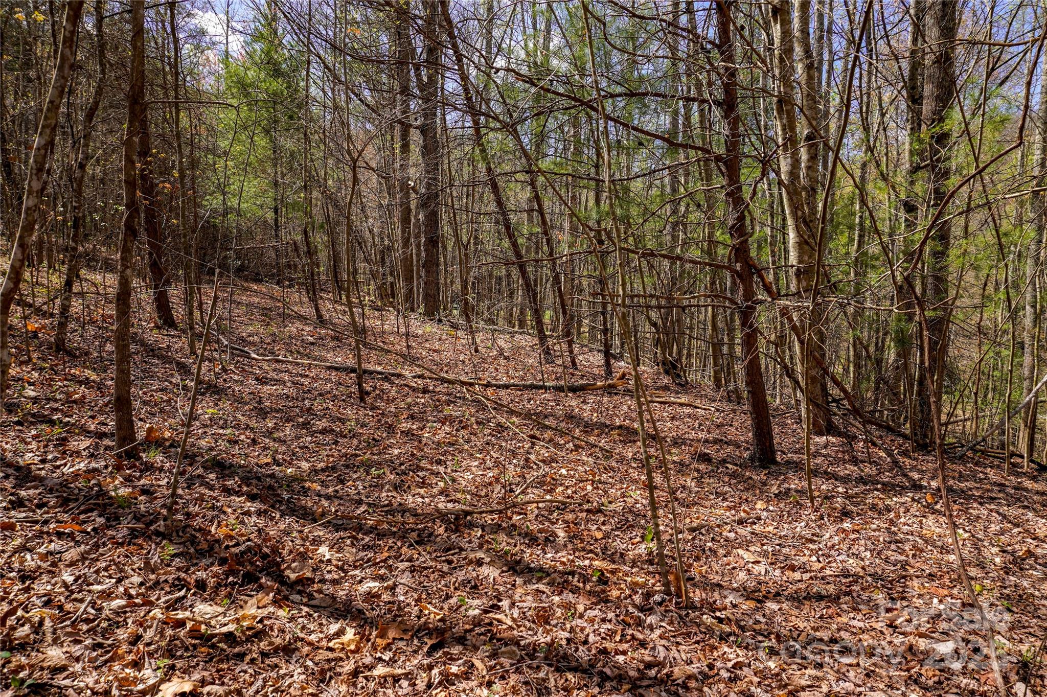99999 High Top Mountain Drive Property Photo 9