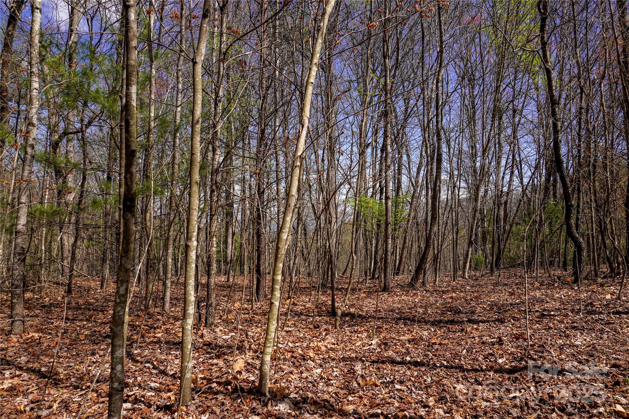 99999 High Top Mountain Drive Property Photo 10