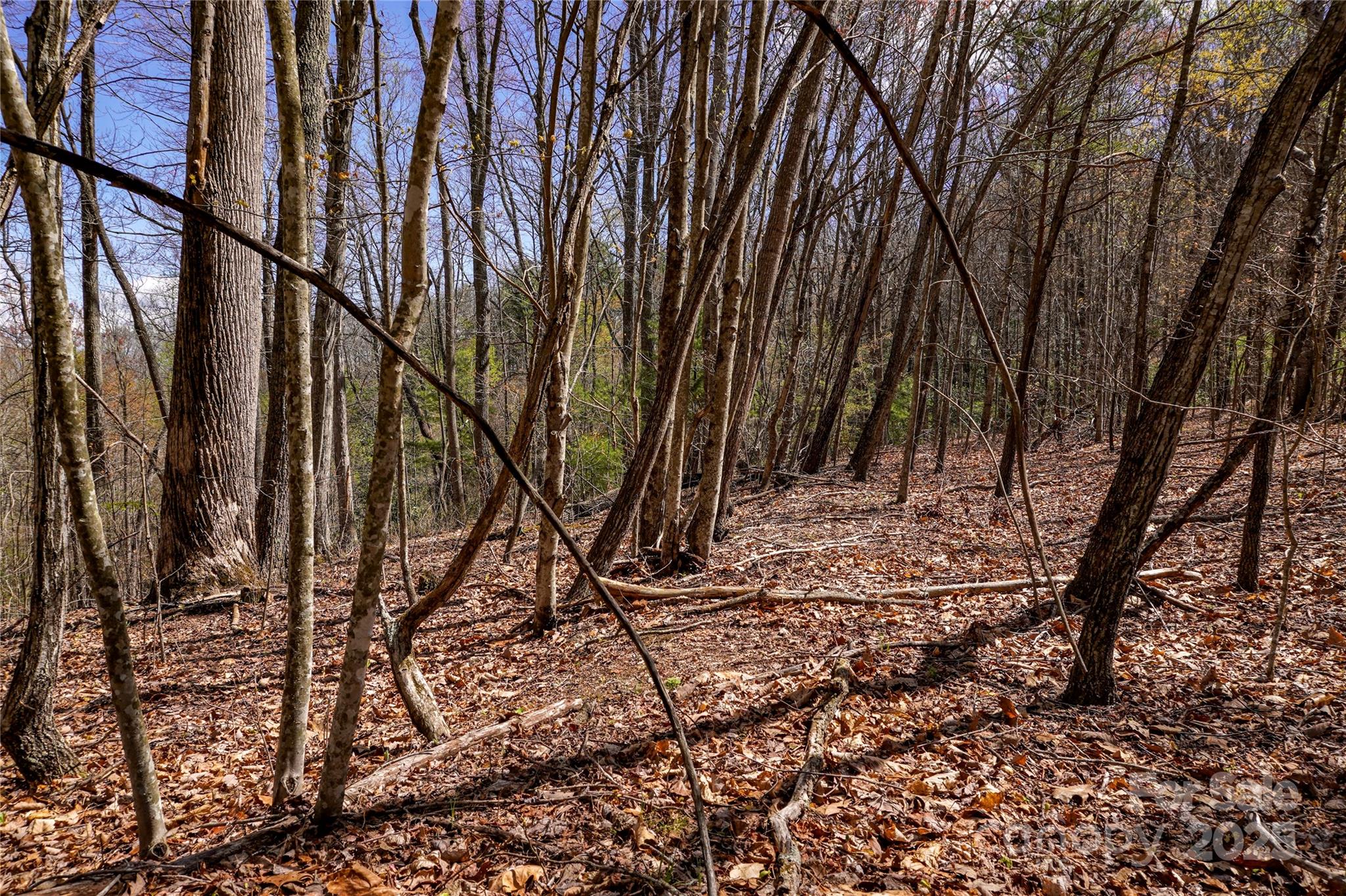 99999 High Top Mountain Drive Property Photo 11