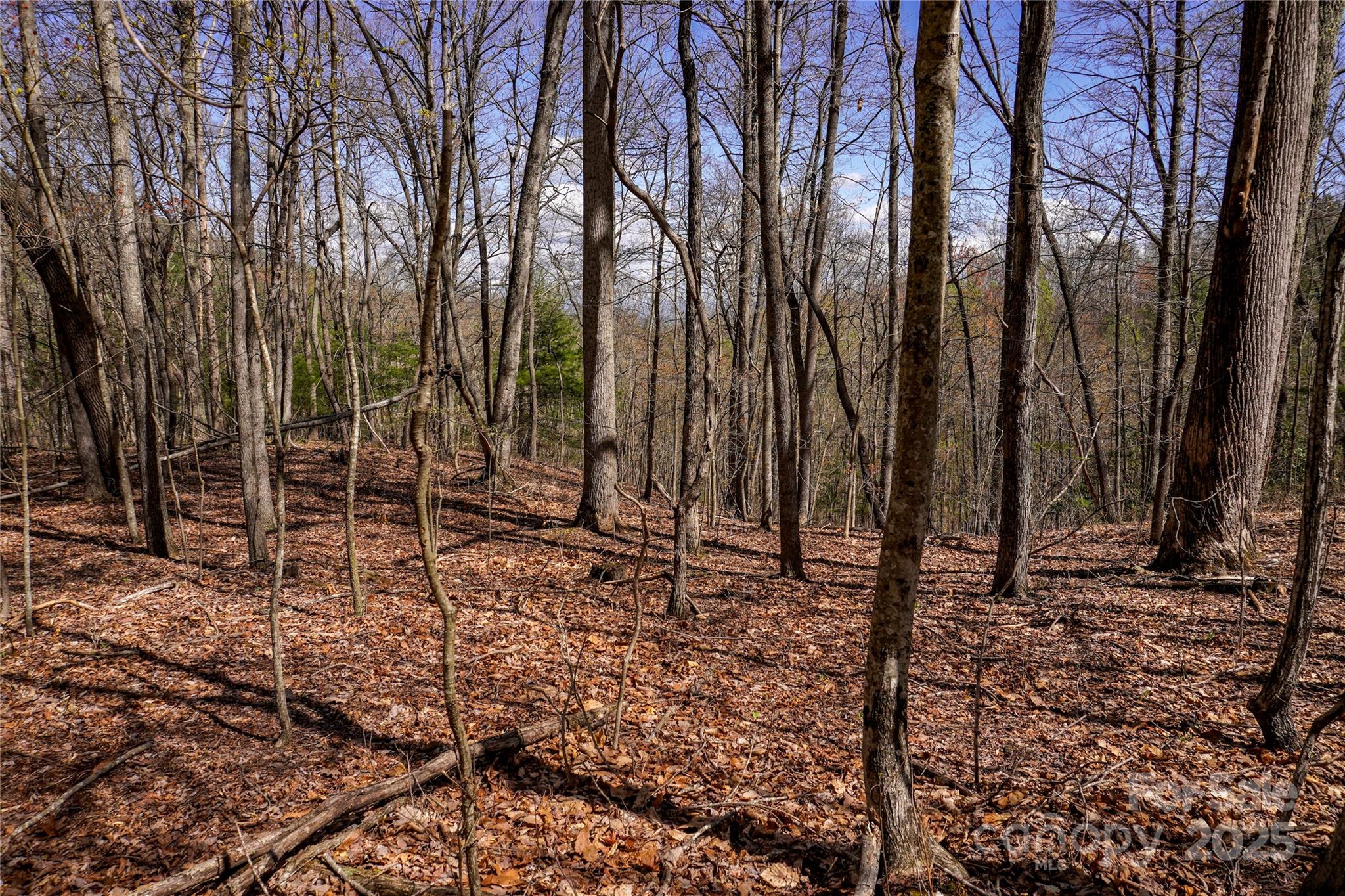 99999 High Top Mountain Drive Property Photo 12