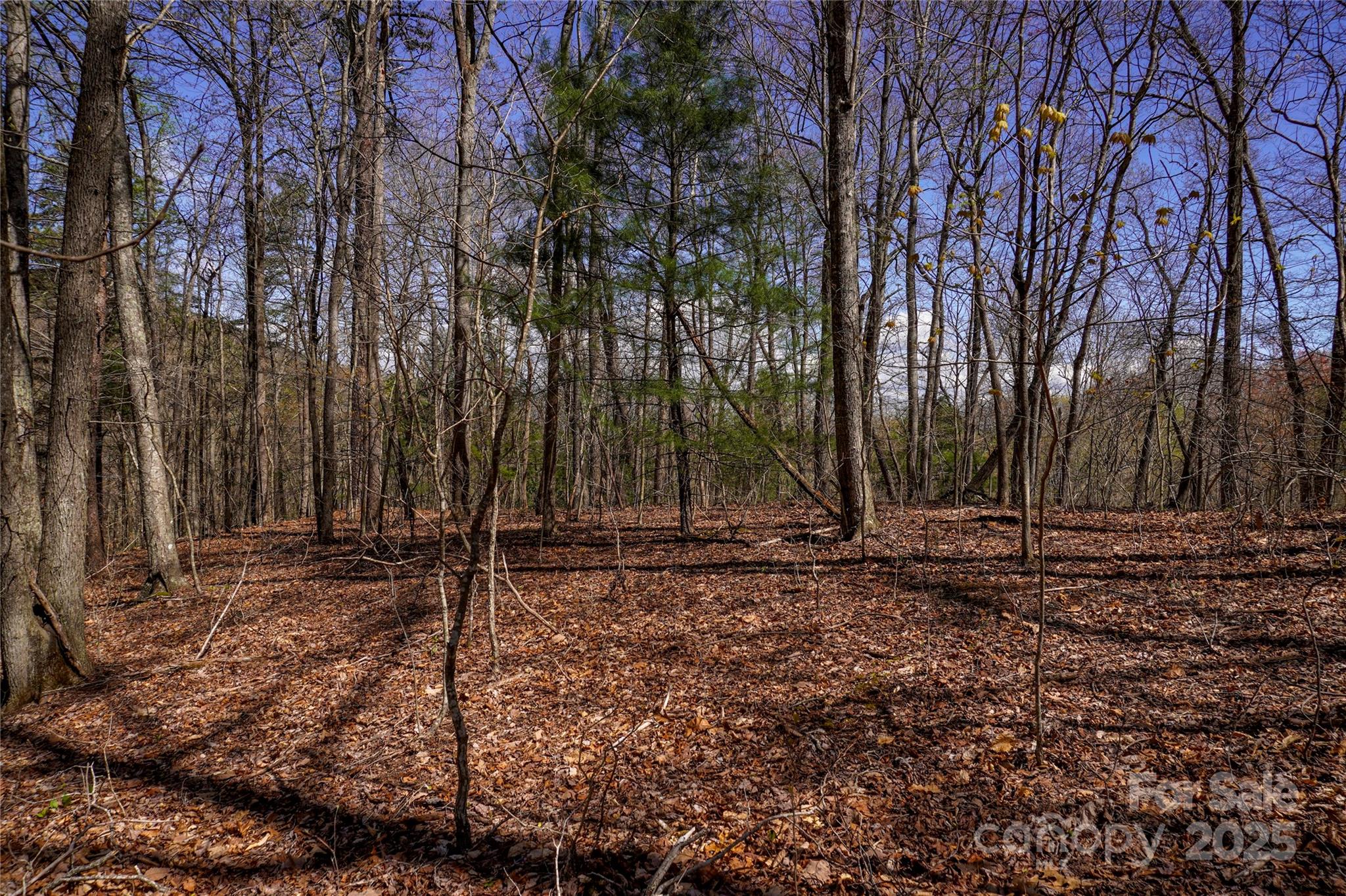 99999 High Top Mountain Drive Property Photo 13