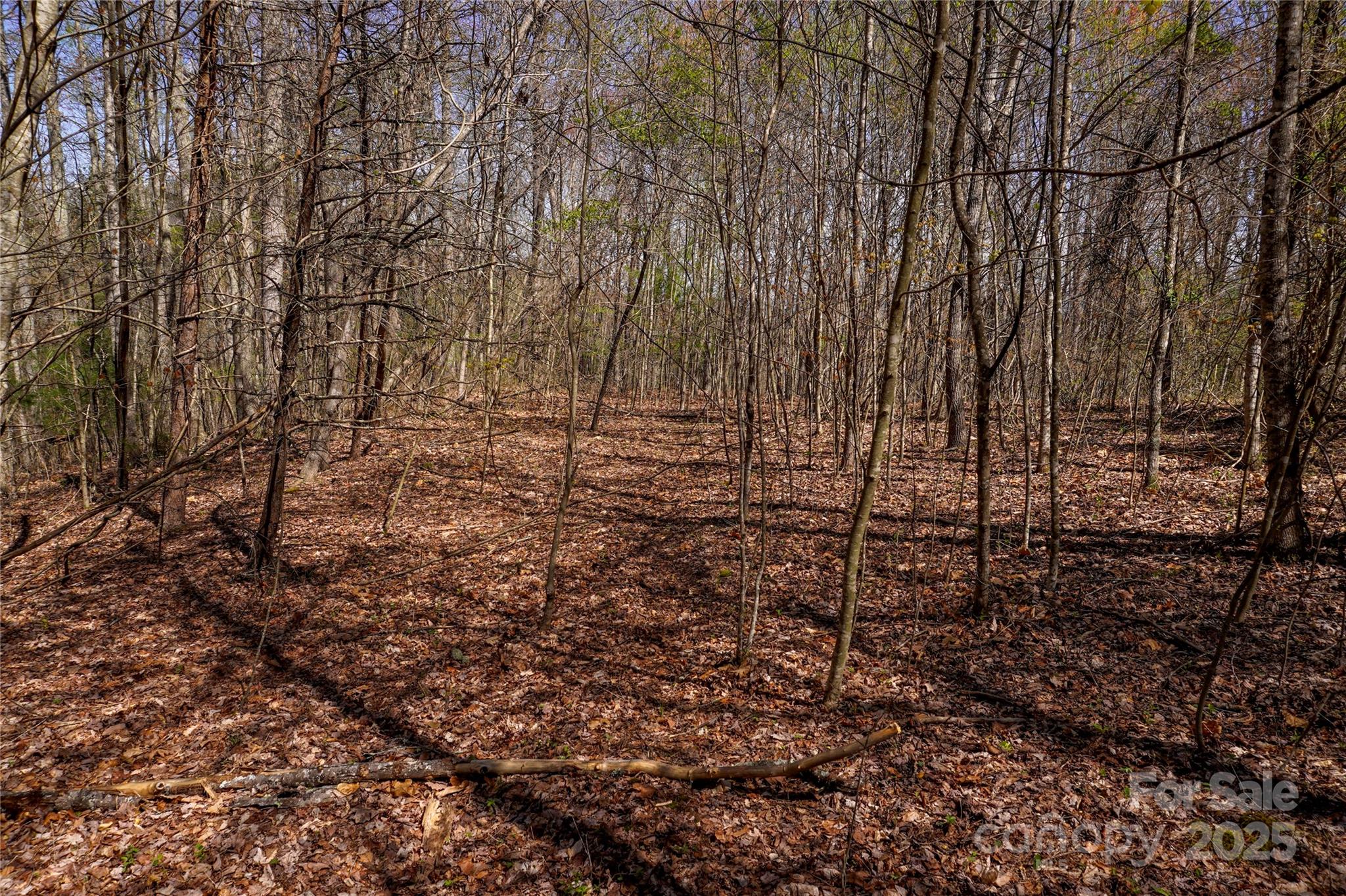 99999 High Top Mountain Drive Property Photo 14