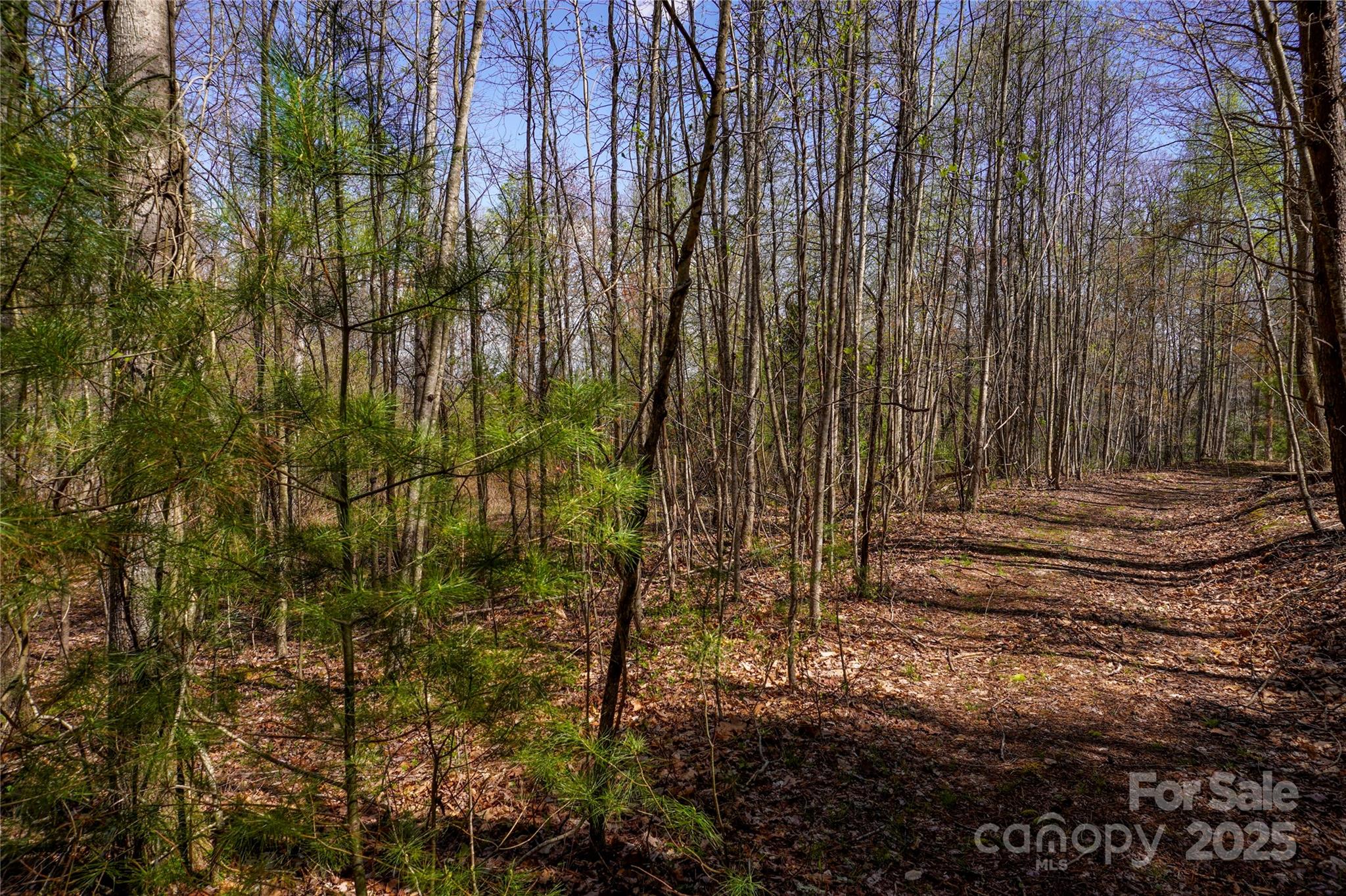 99999 High Top Mountain Drive Property Photo 15