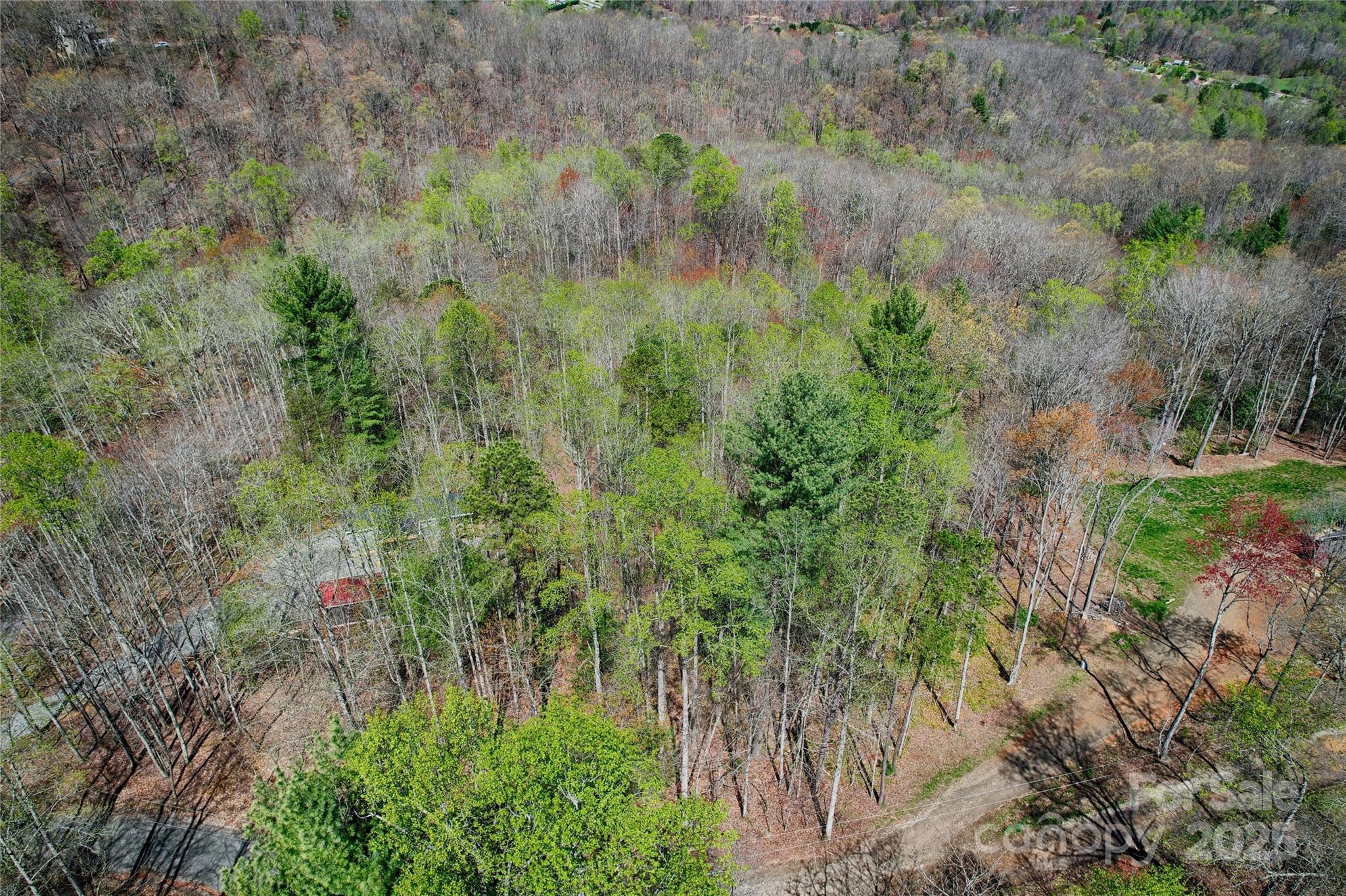 99999 High Top Mountain Drive Property Photo 18