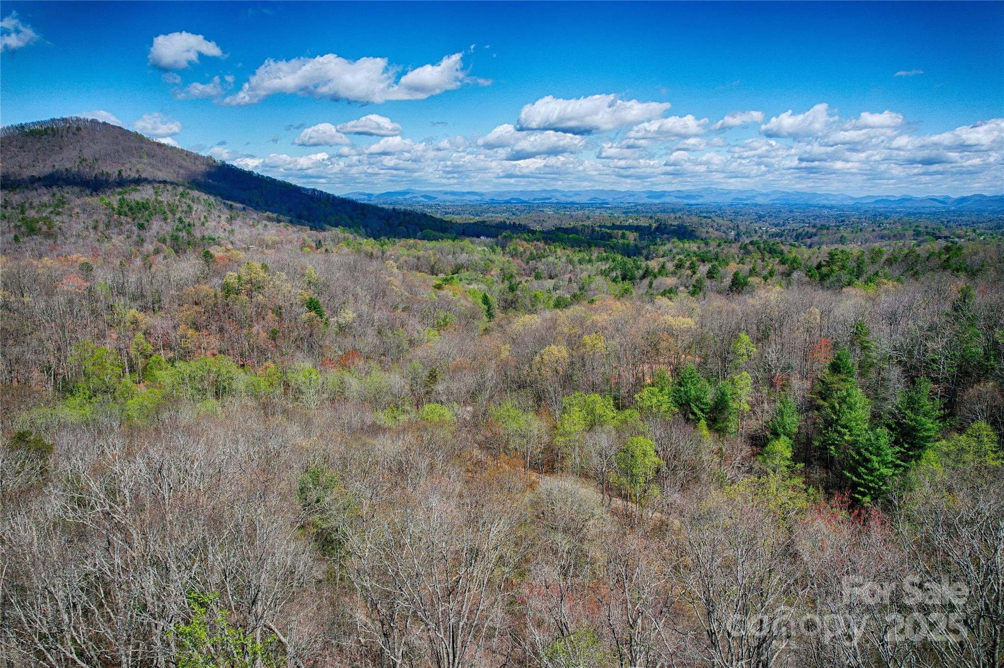 99999 High Top Mountain Drive Property Photo 19