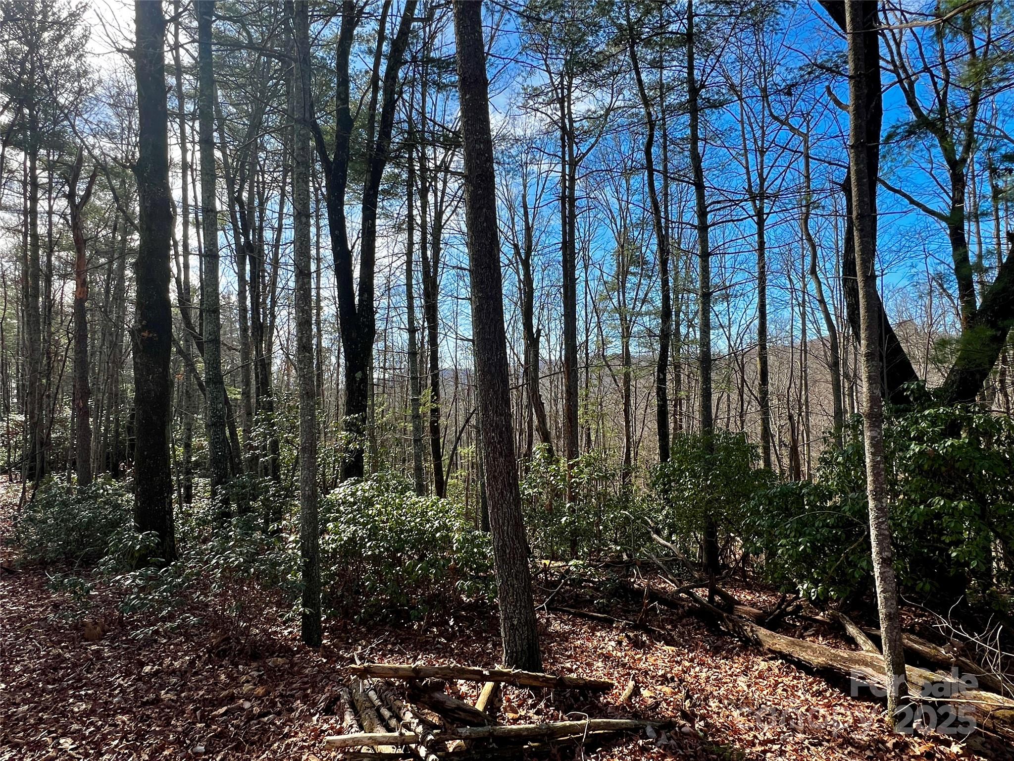 Camp 2 Long Ridge Road Property Photo 6