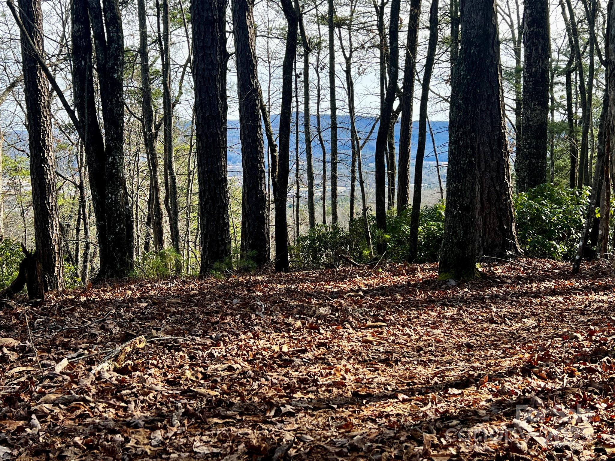 Camp 2 Long Ridge Road Property Photo 7